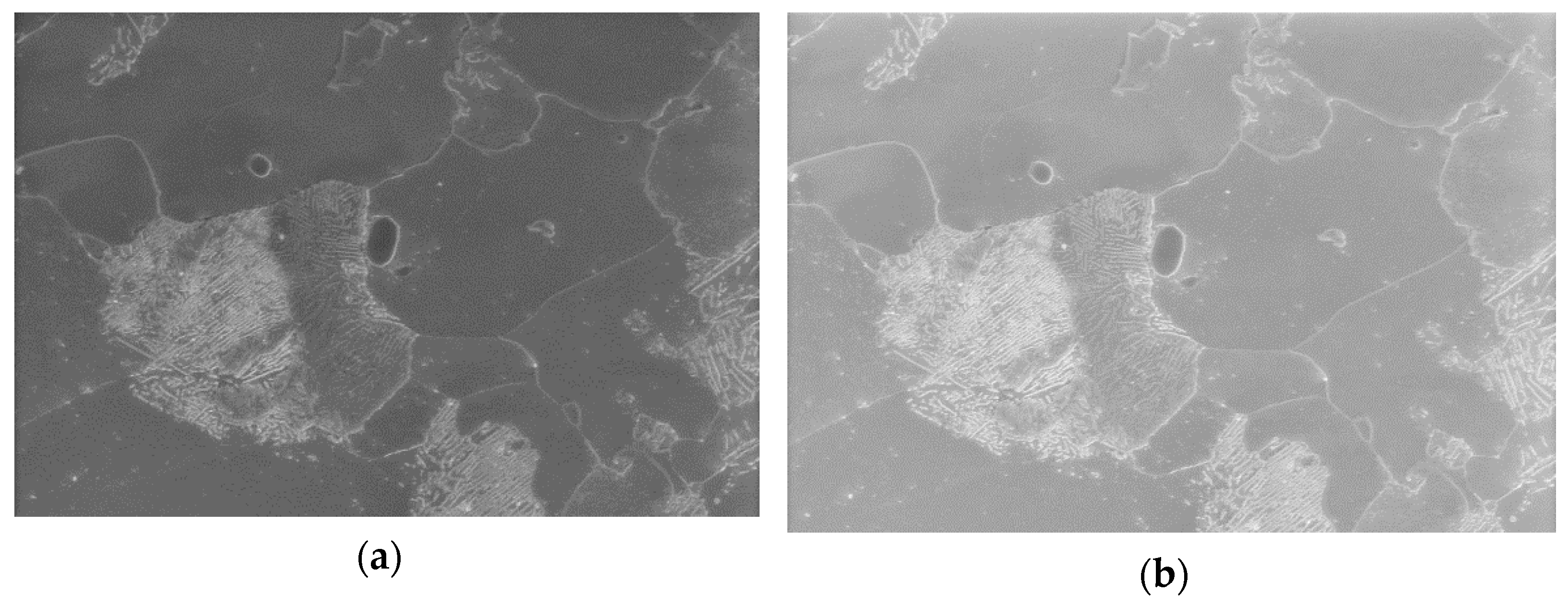 Crystals 12 00281 g0a5 550