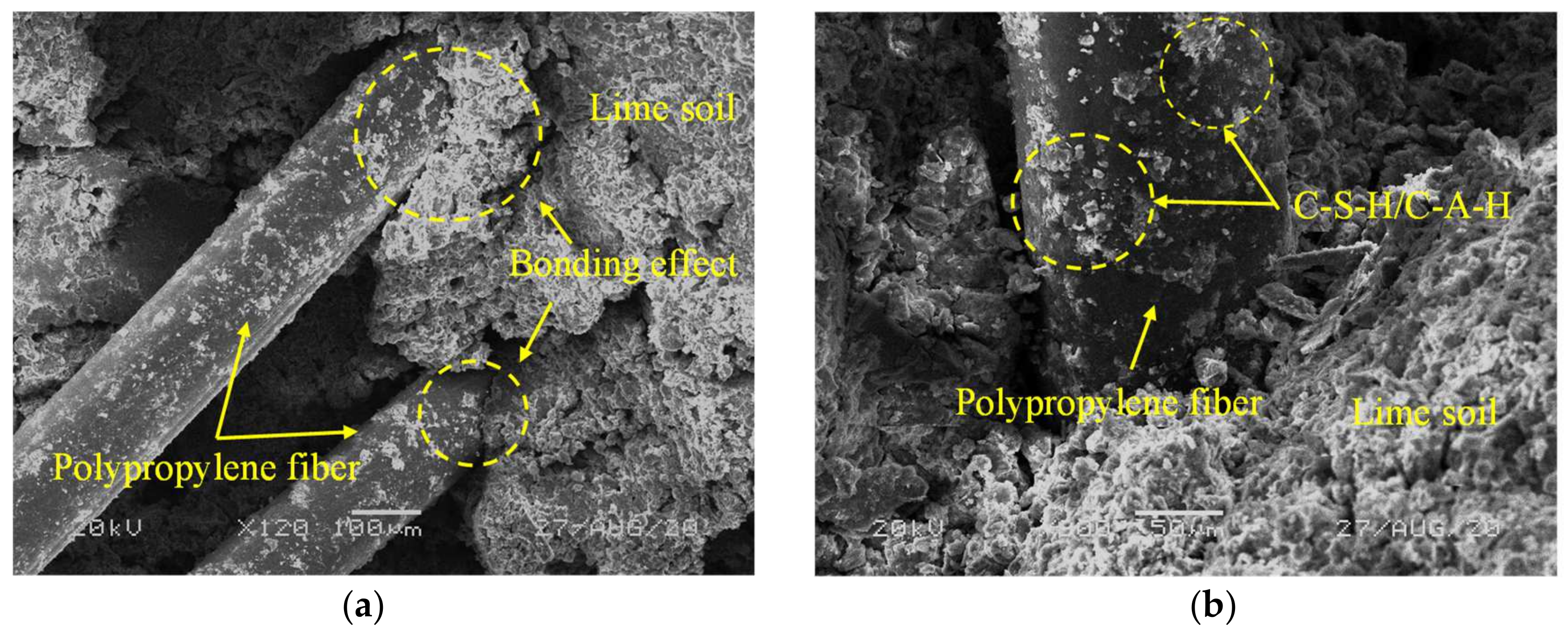 Crystals 12 00285 g013