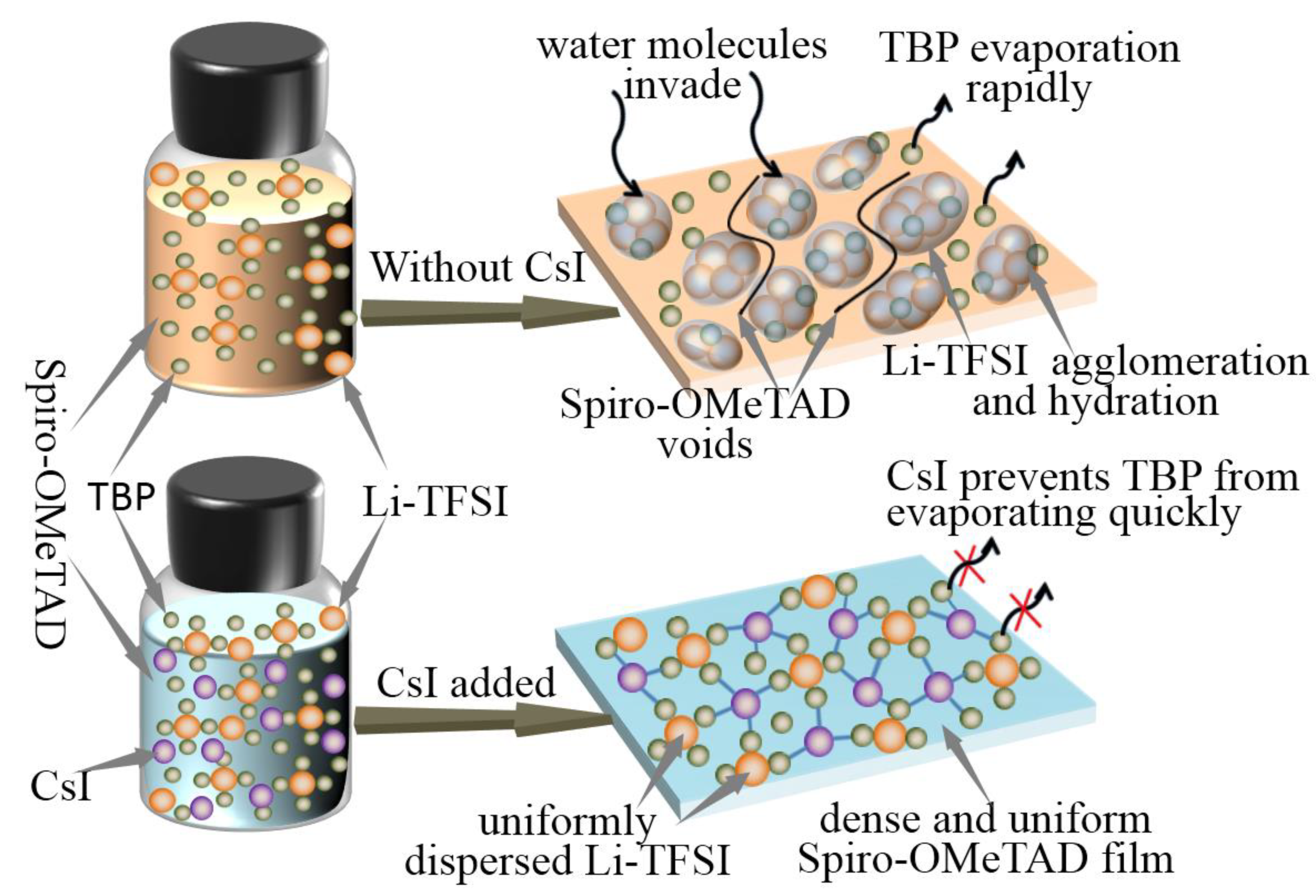 Crystals 12 00290 g005