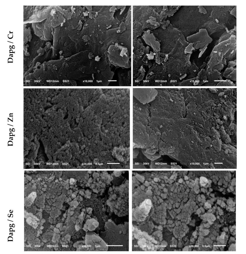 Crystals 12 00304 g005 550
