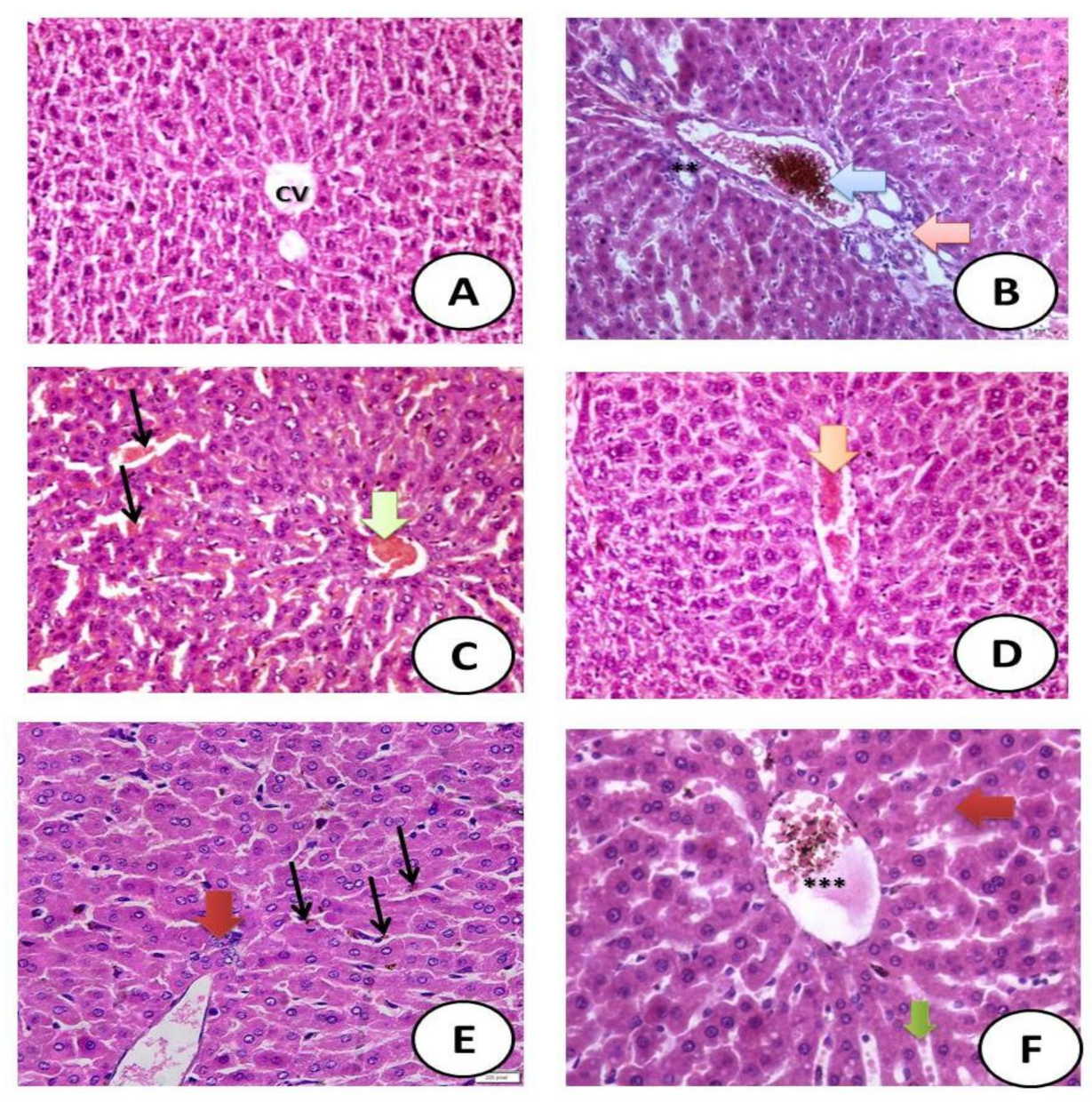 Crystals 12 00304 g007 550