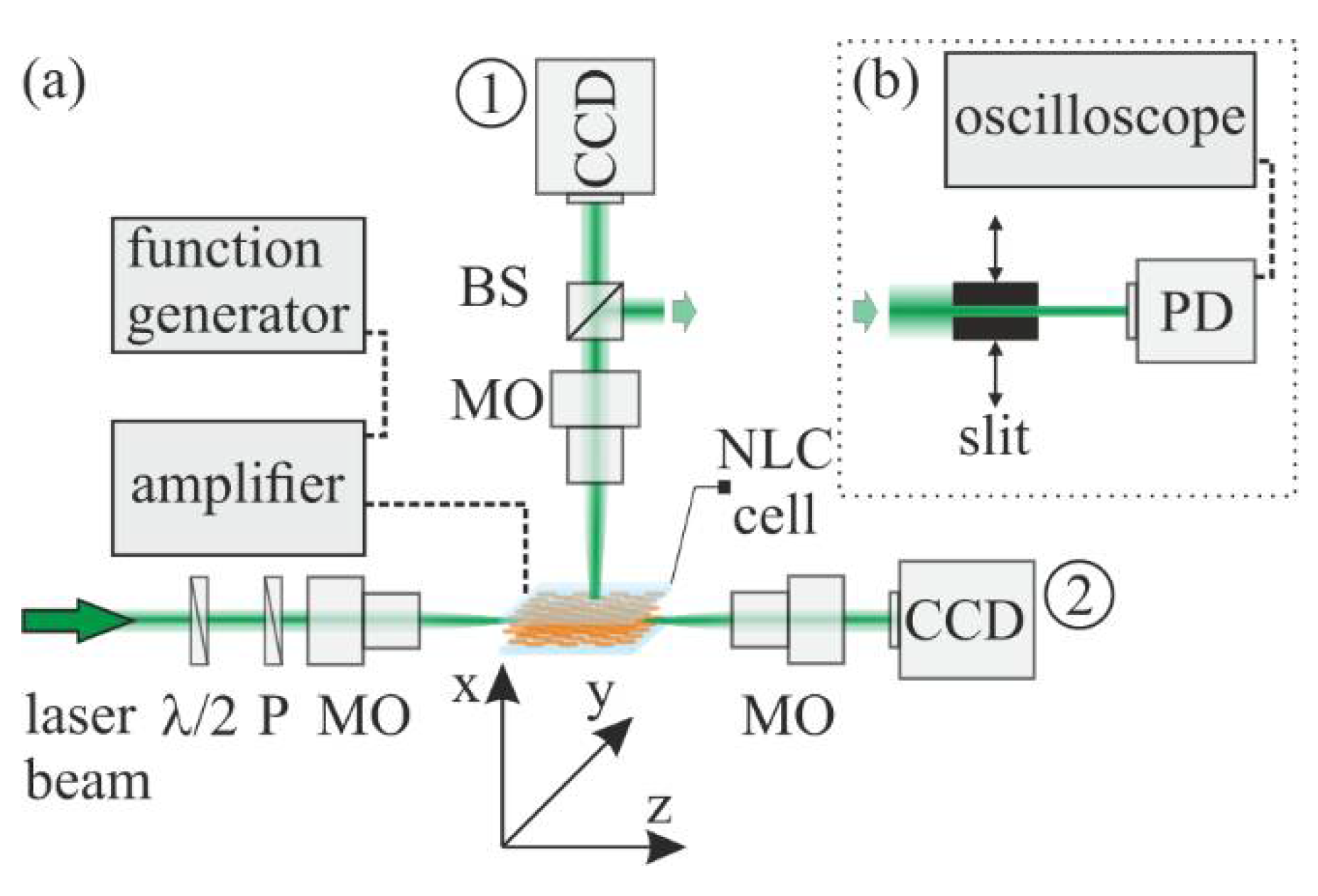 Crystals 12 00325 g002