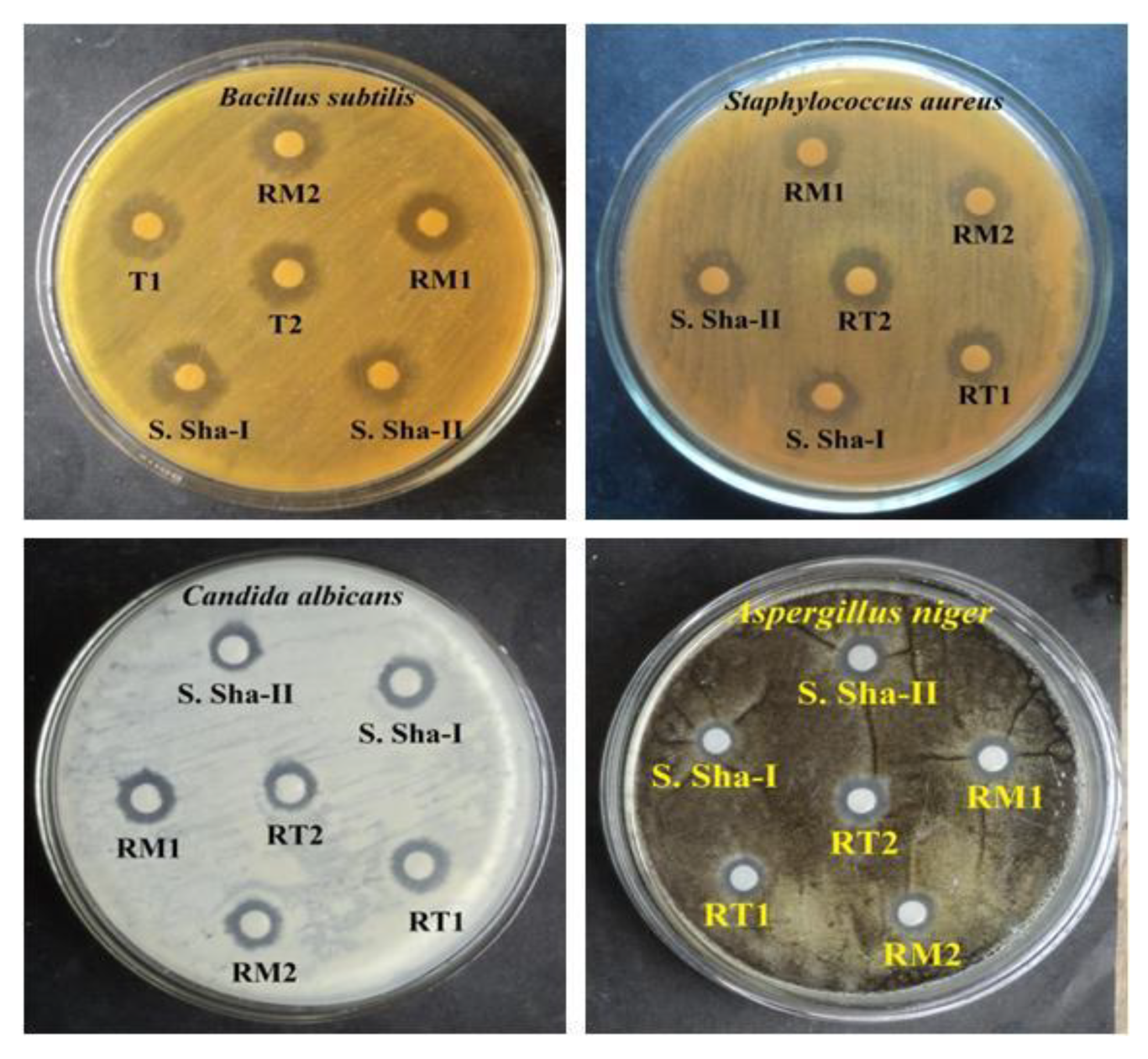 Crystals 12 00326 g008 Crystals 12 00326 g008