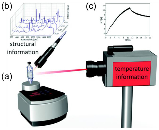 In Situ Analytical Methods for the Characterization of Mechanochemical ...