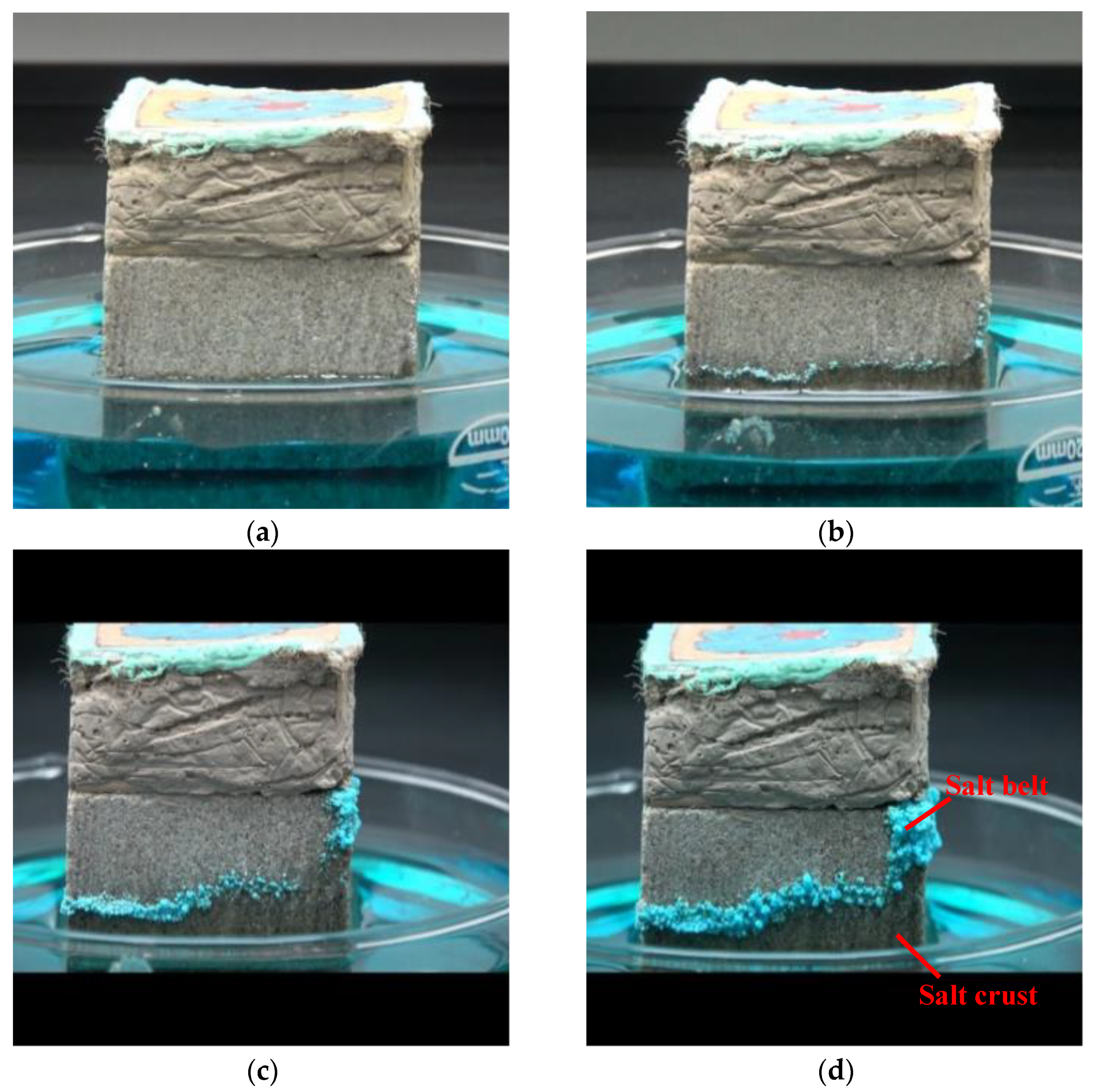 Crystals 12 00351 g005