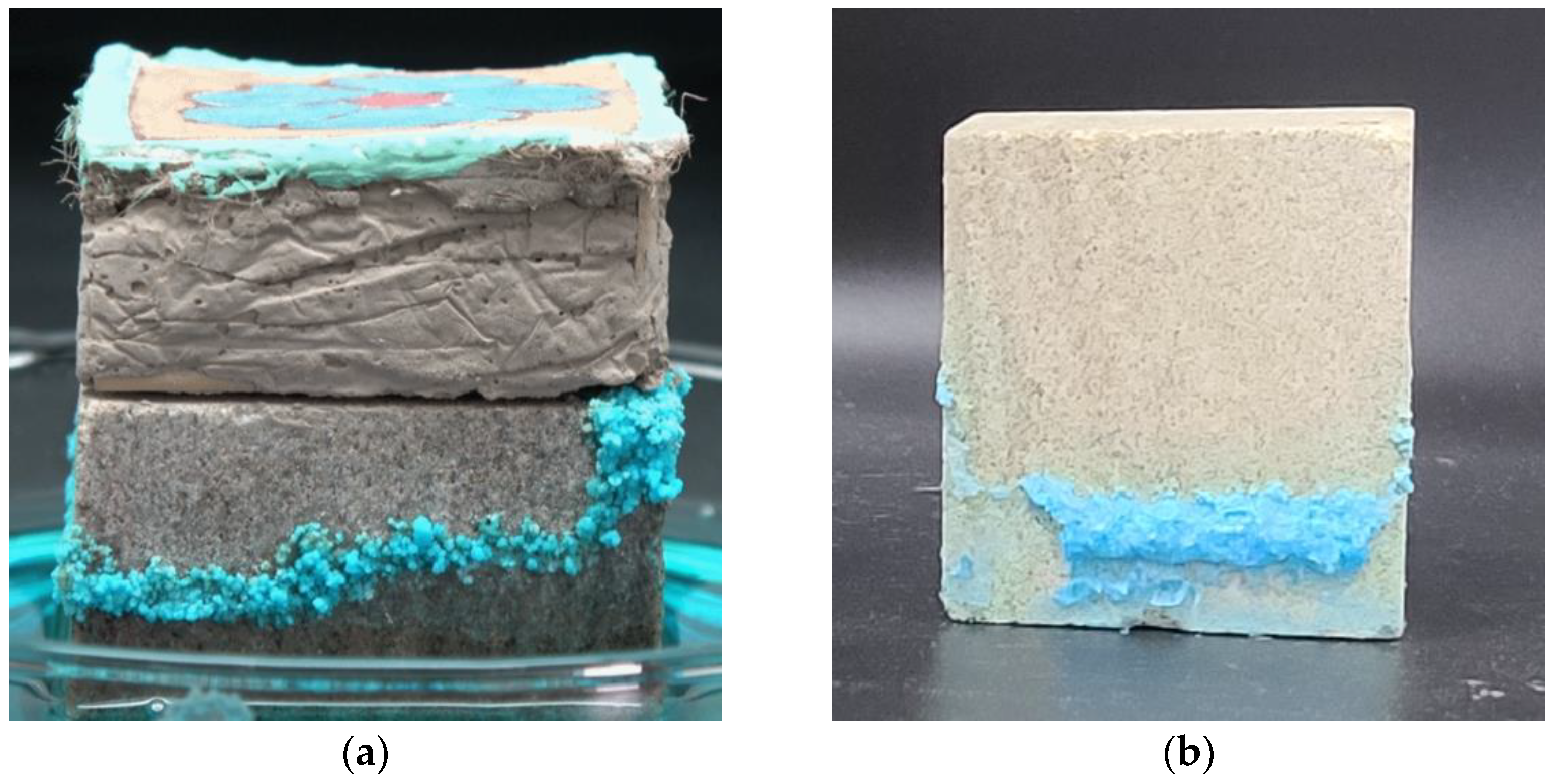 Crystals 12 00351 g006