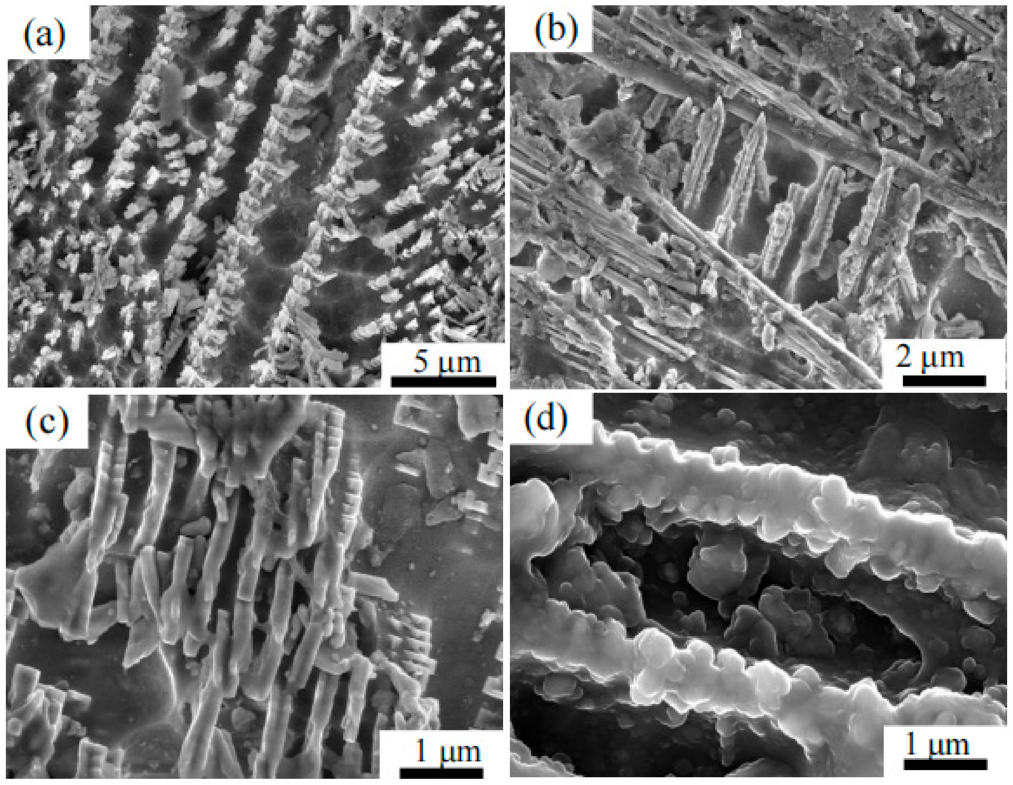 Crystals 12 00367 g009