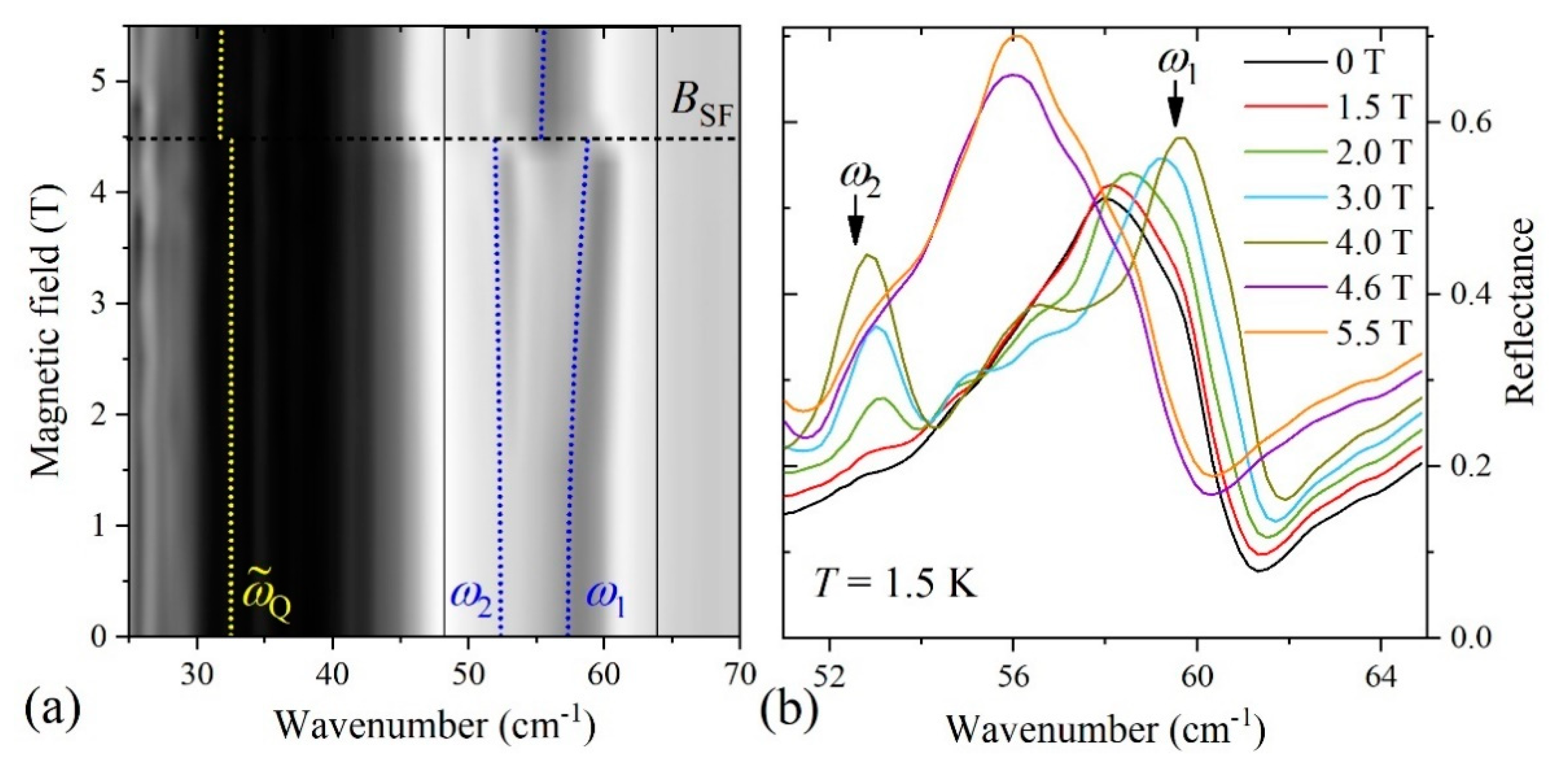 Crystals 12 00392 g001