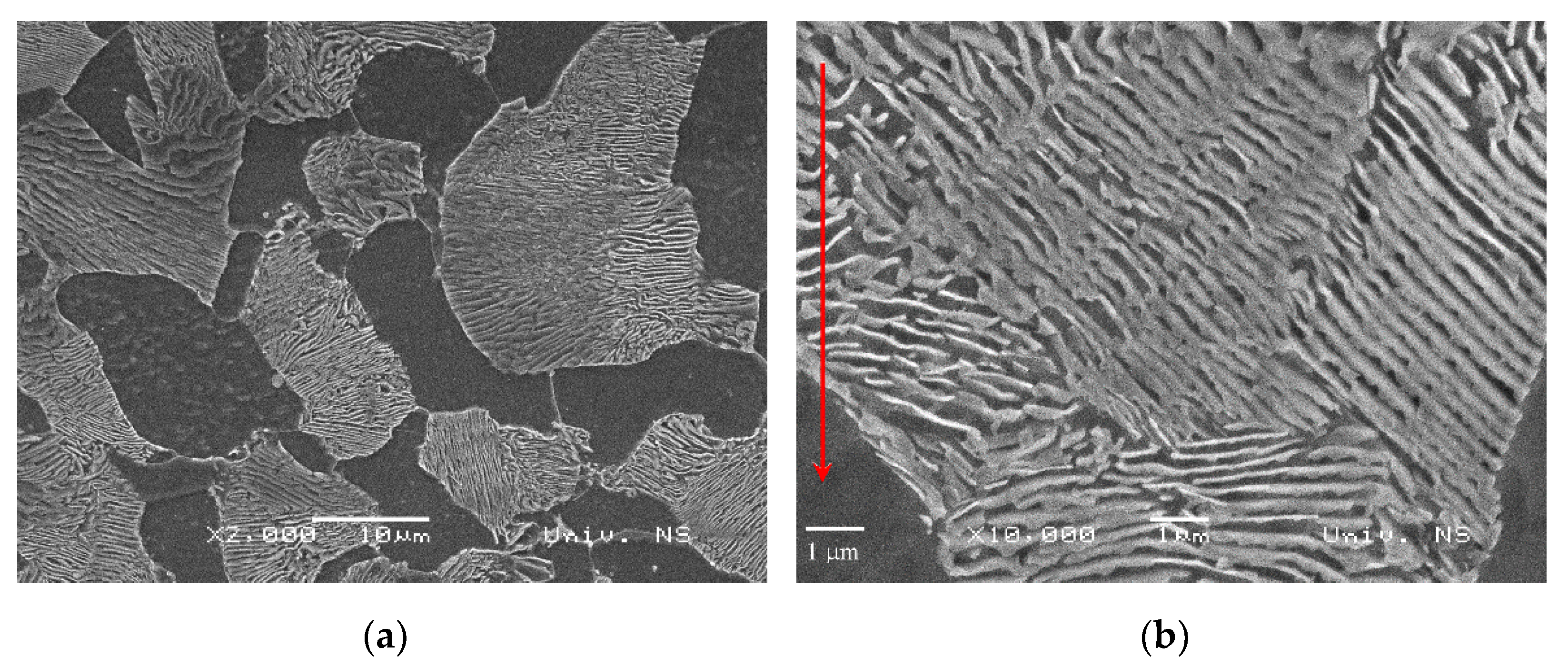 Crystals 12 00426 g004