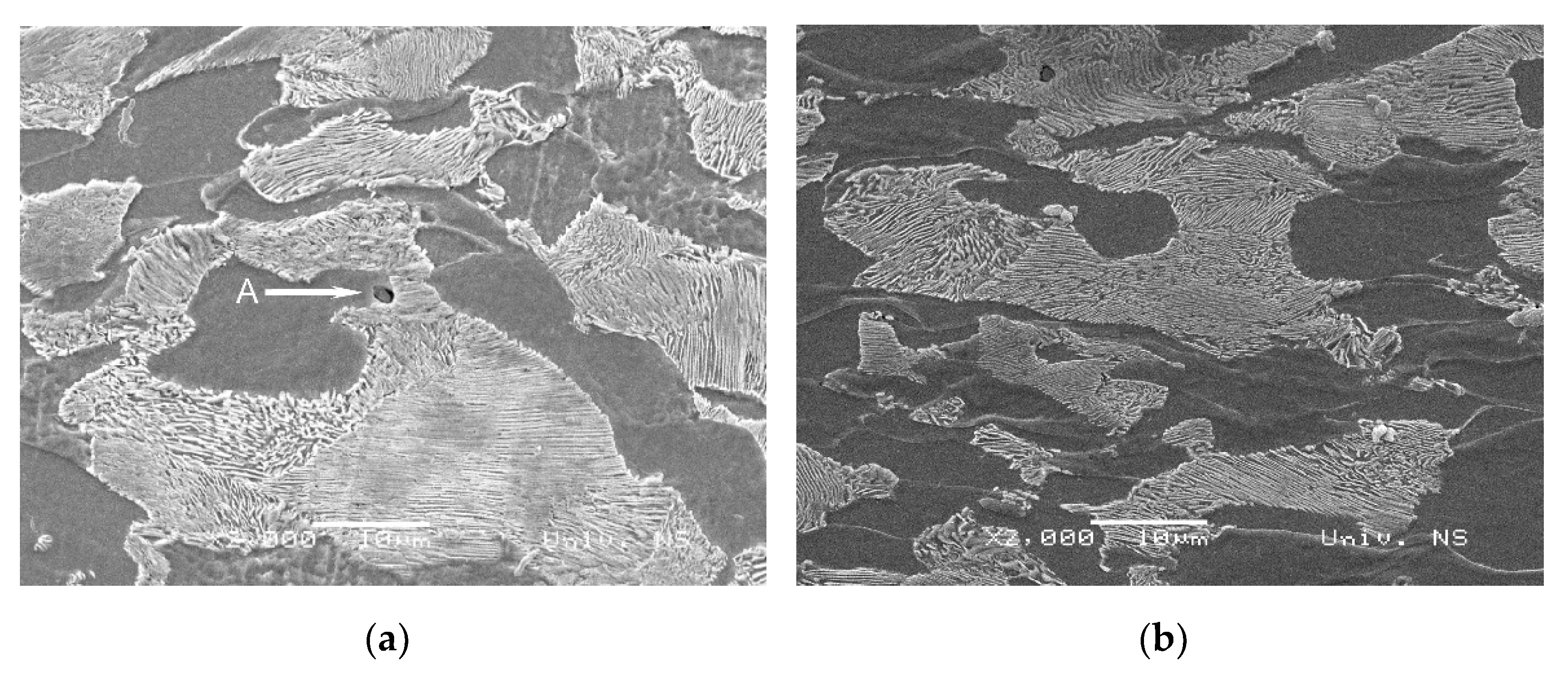 Crystals 12 00426 g005a