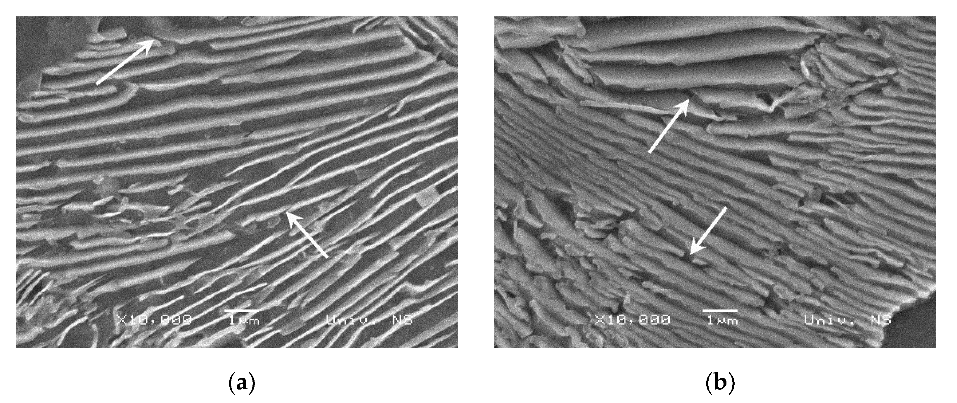 Crystals 12 00426 g006