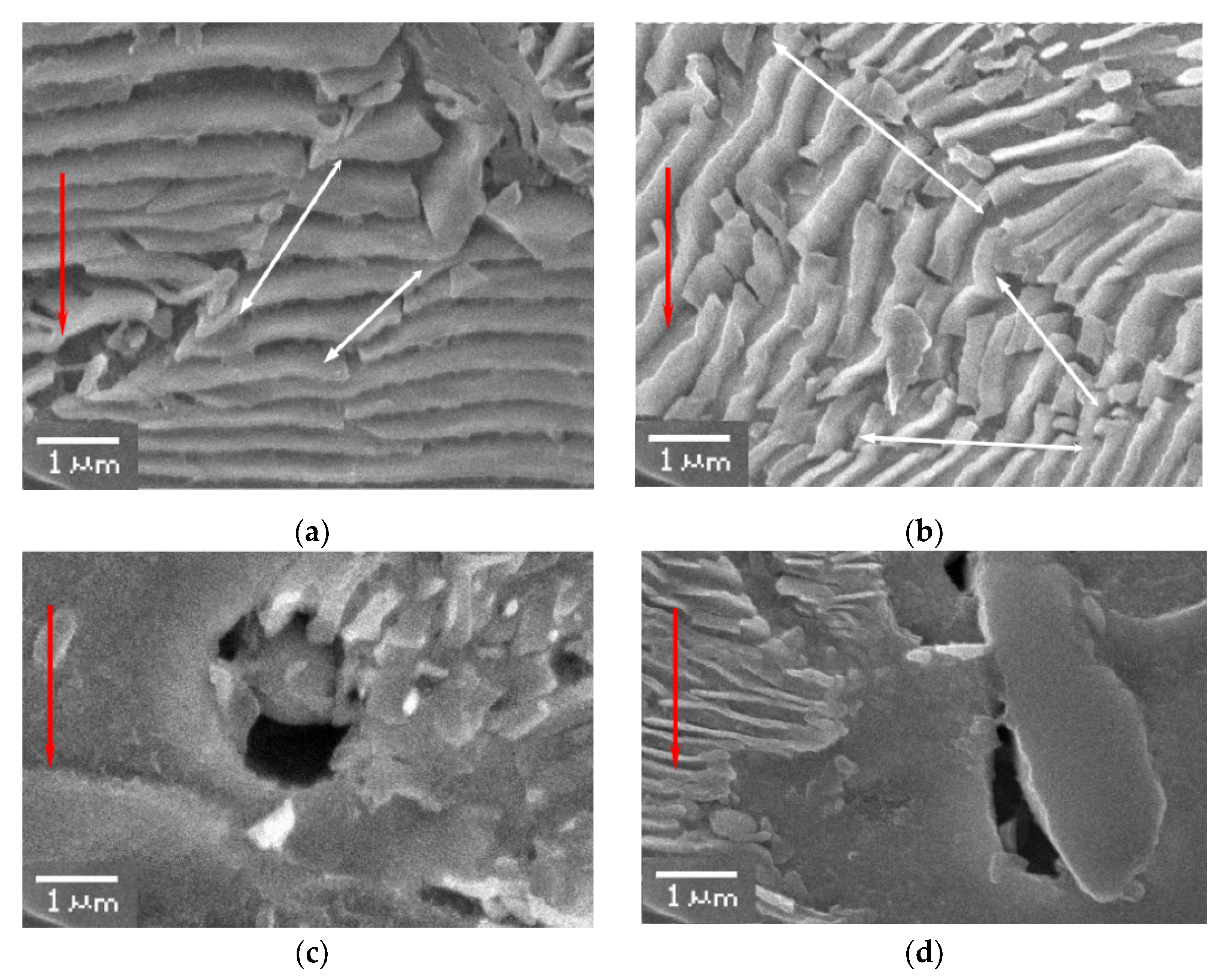 Crystals 12 00426 g007