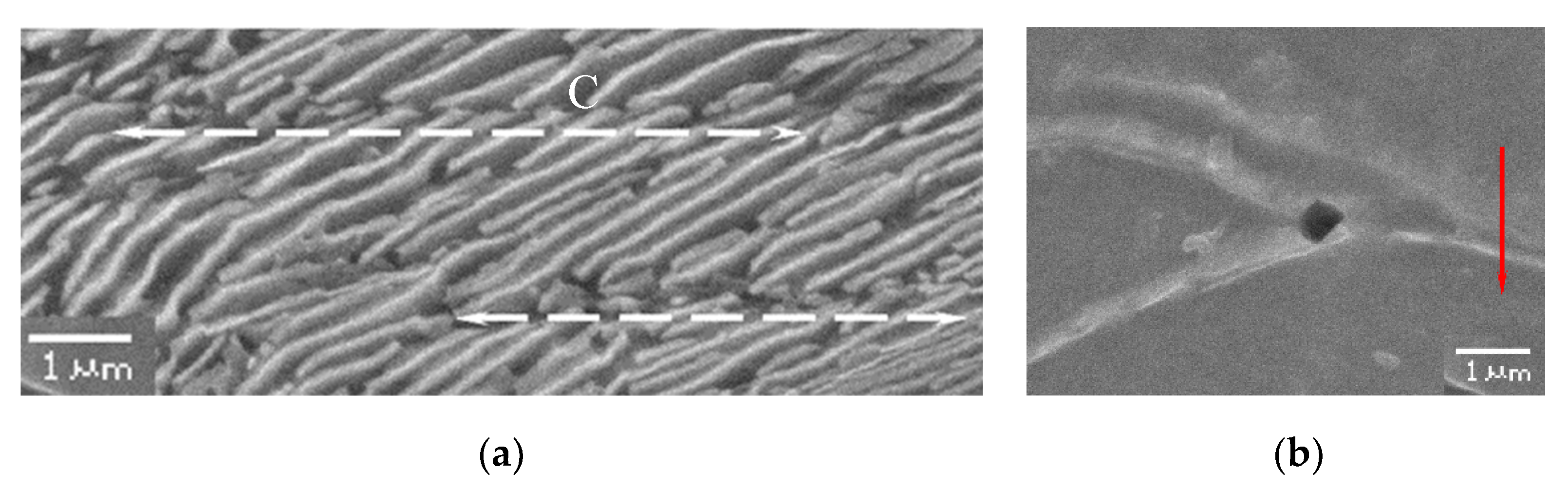 Crystals 12 00426 g008