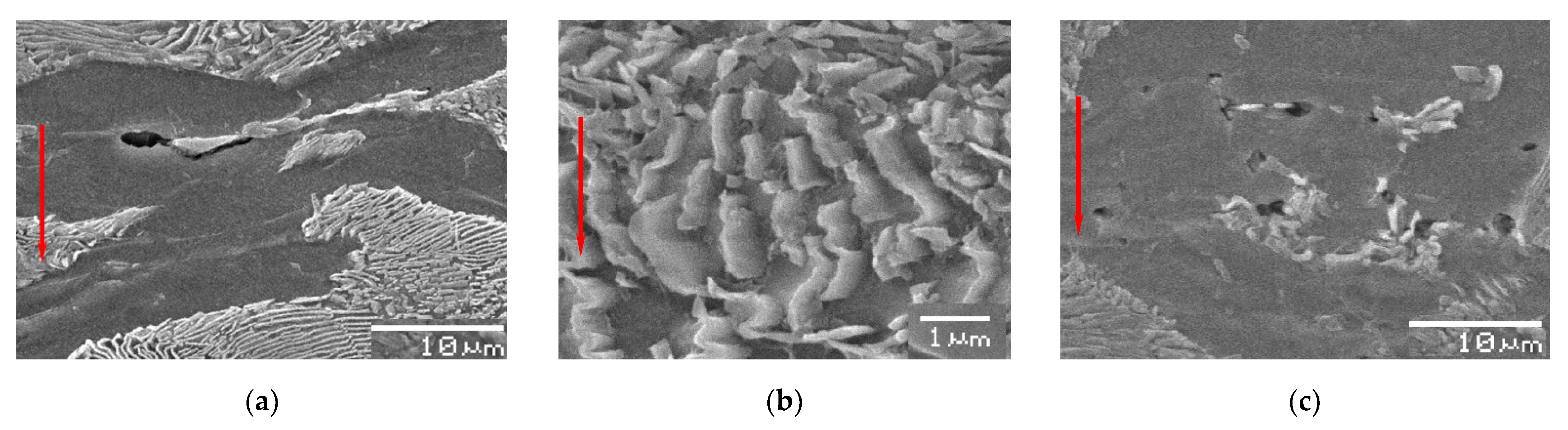 Crystals 12 00426 g009