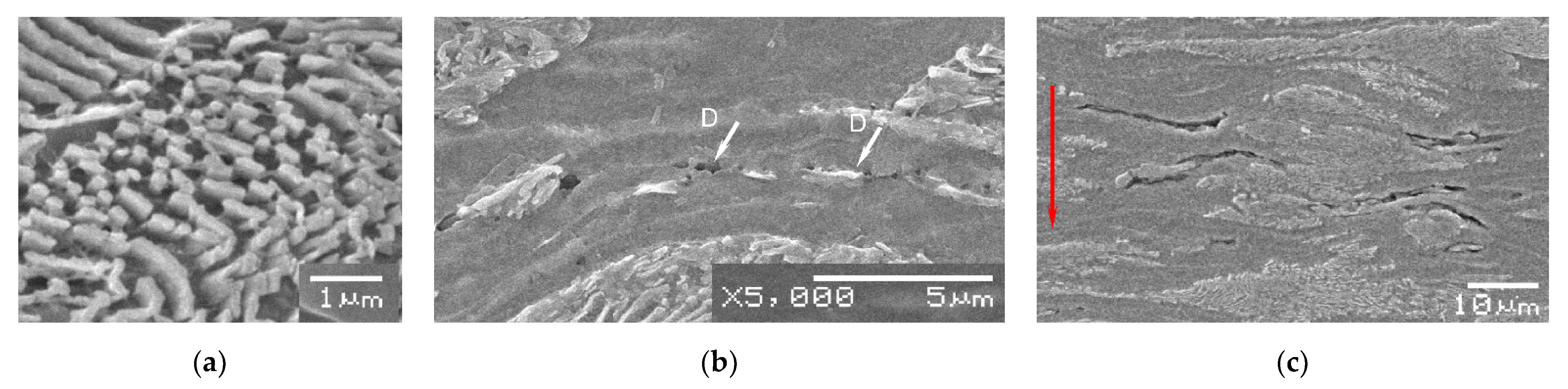 Crystals 12 00426 g010