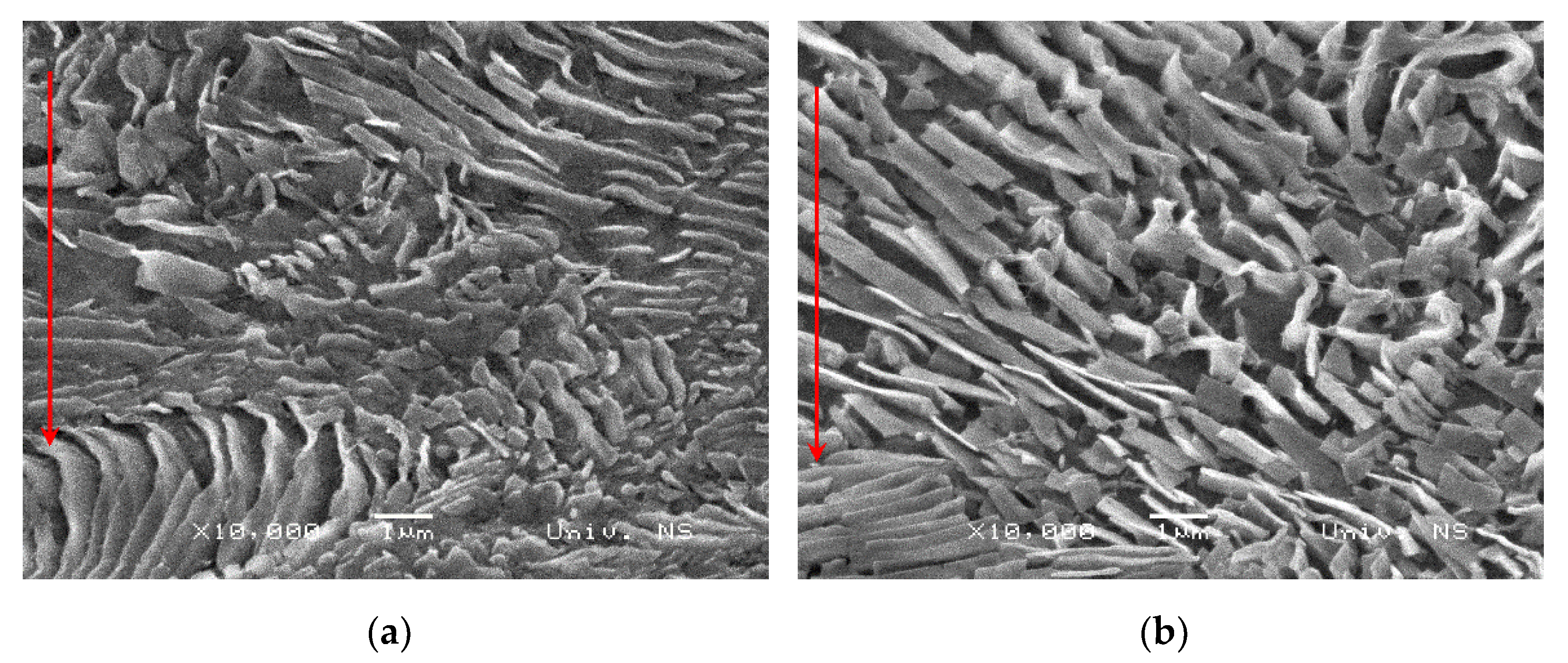 Crystals 12 00426 g016