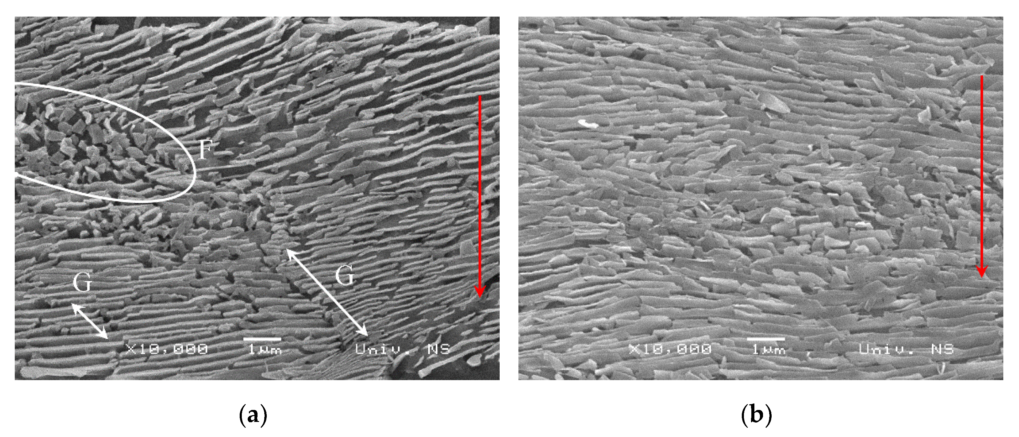 Crystals 12 00426 g017