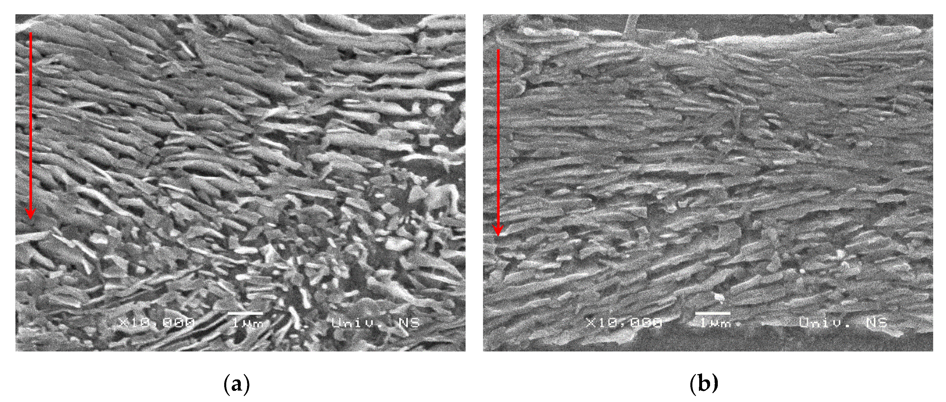 Crystals 12 00426 g018