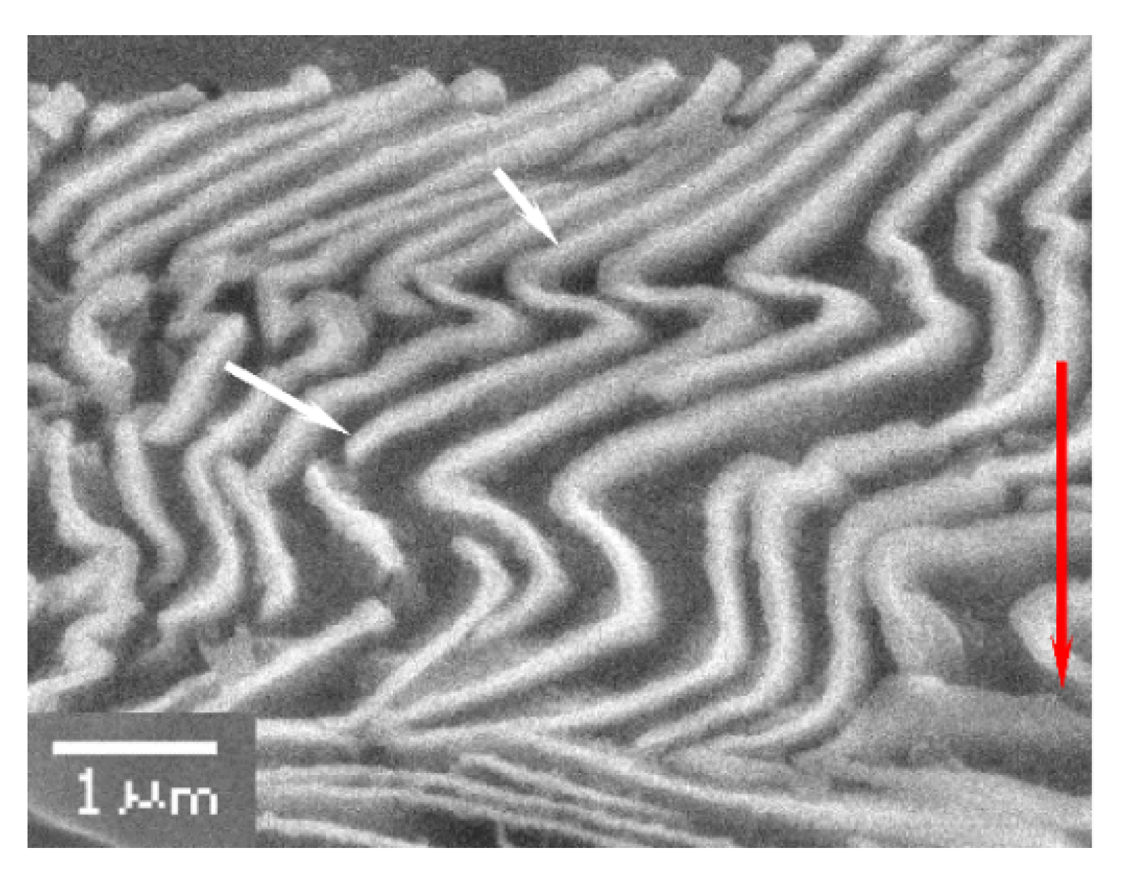 Crystals 12 00426 g022