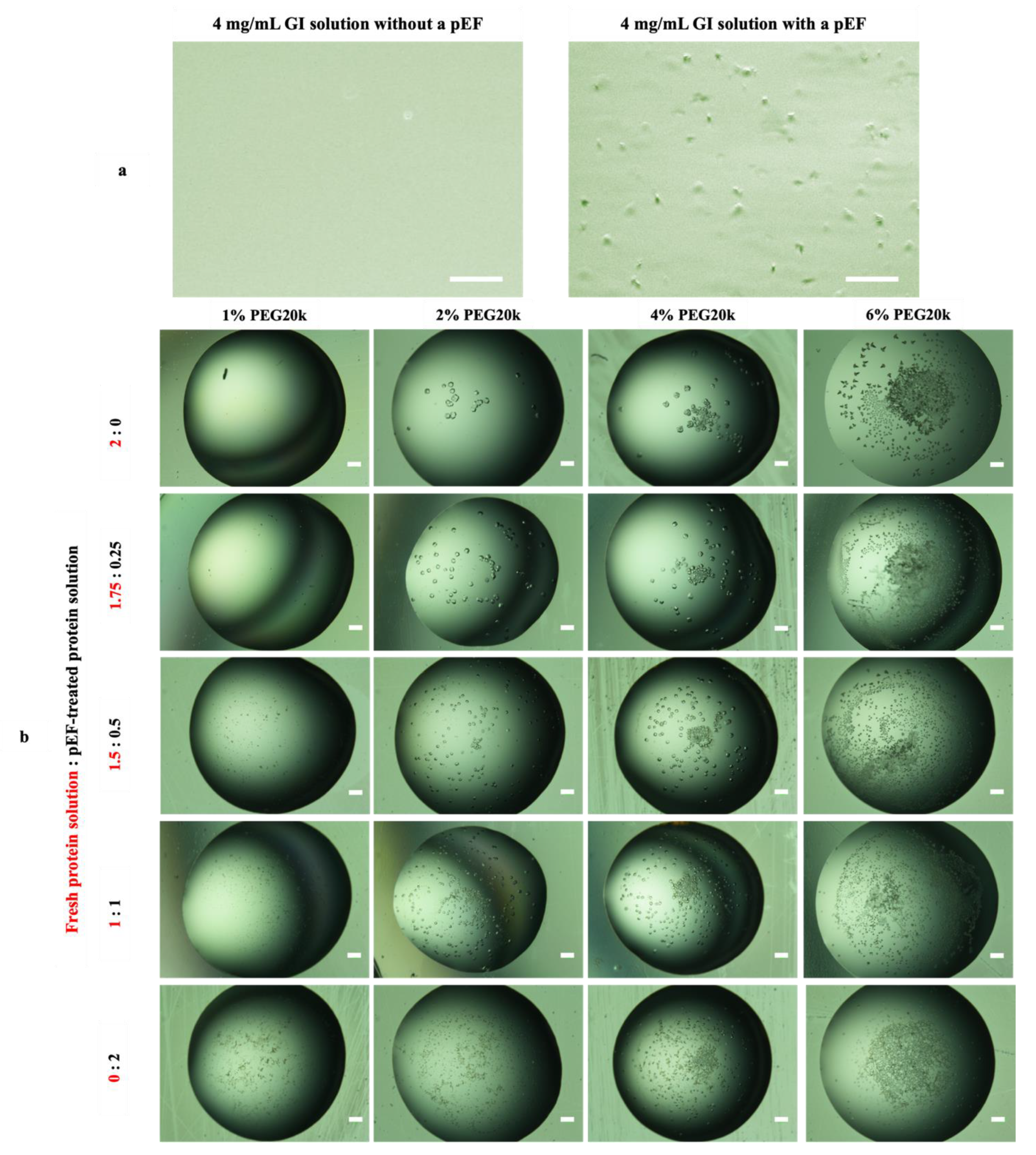 Crystals 12 00437 g008a