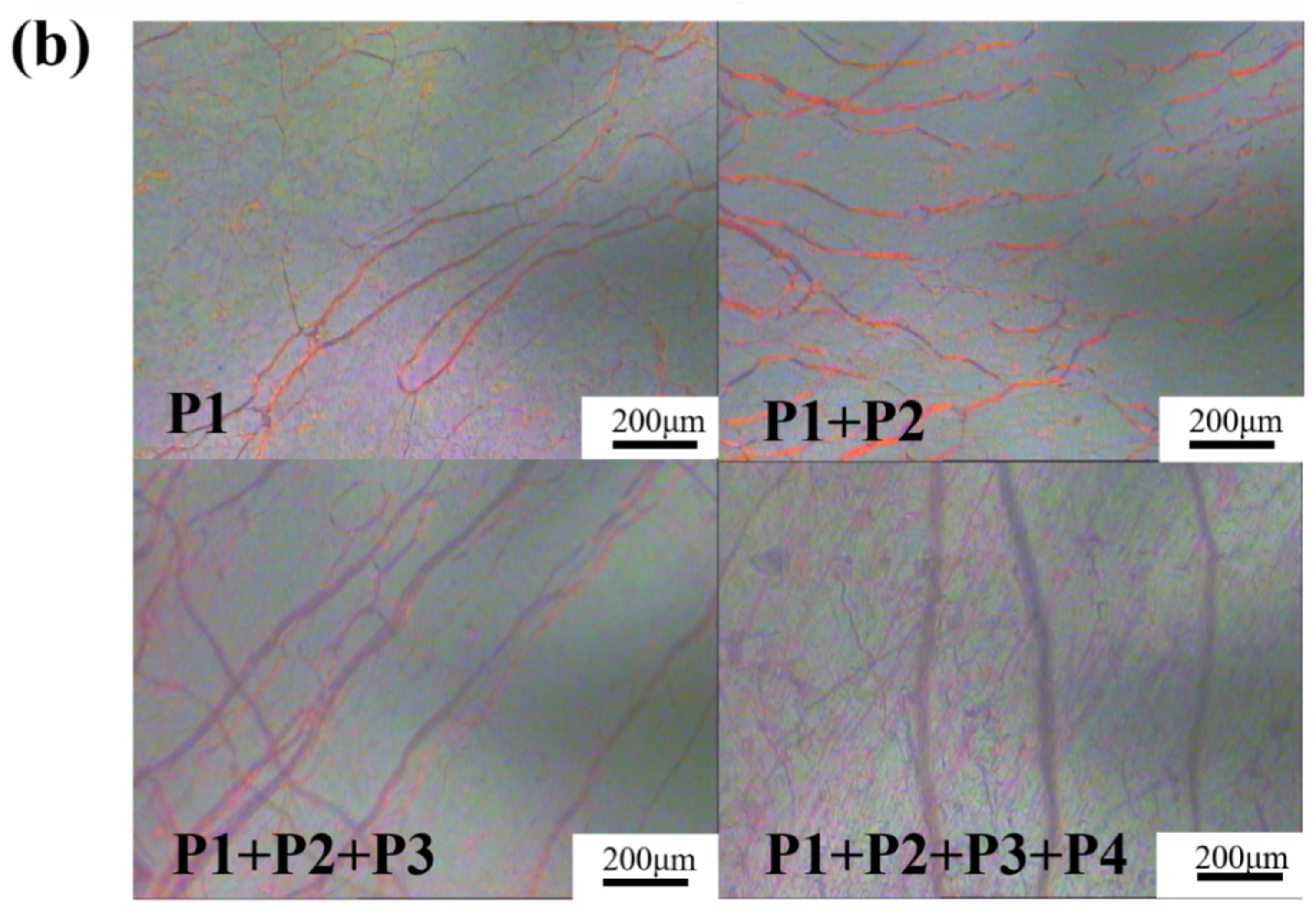 Crystals 12 00473 g007b
