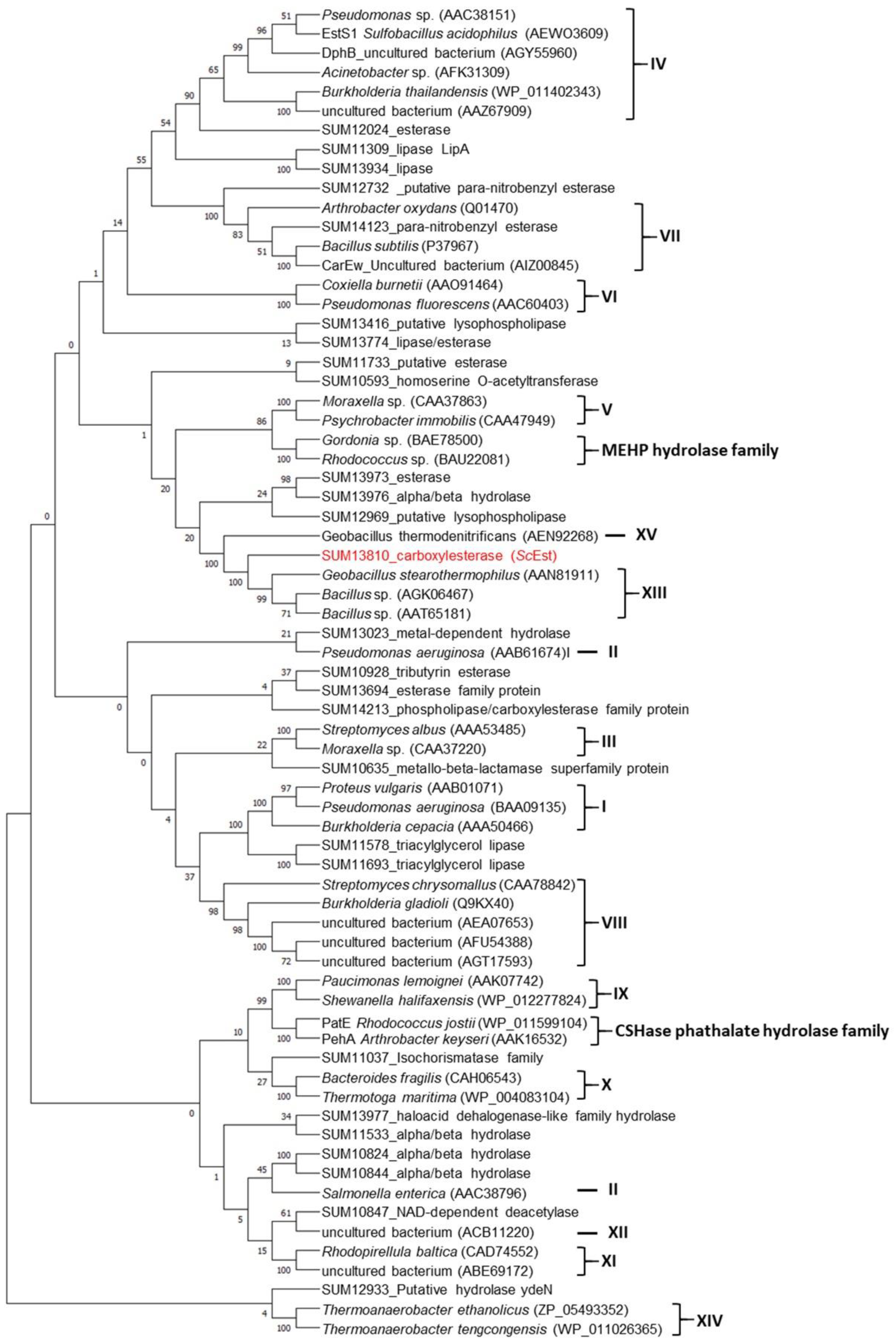 Crystals 12 00546 g001
