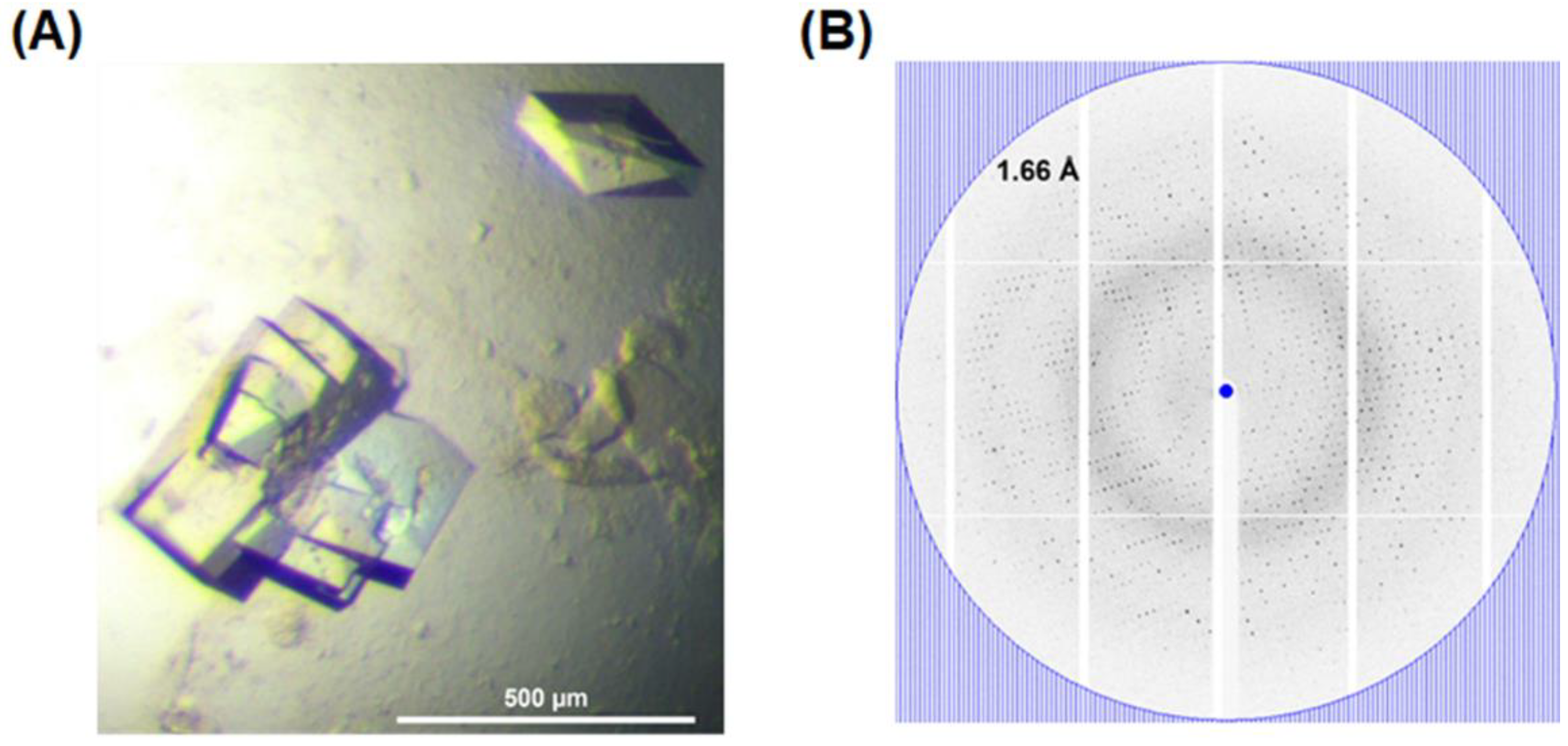 Crystals 12 00546 g004