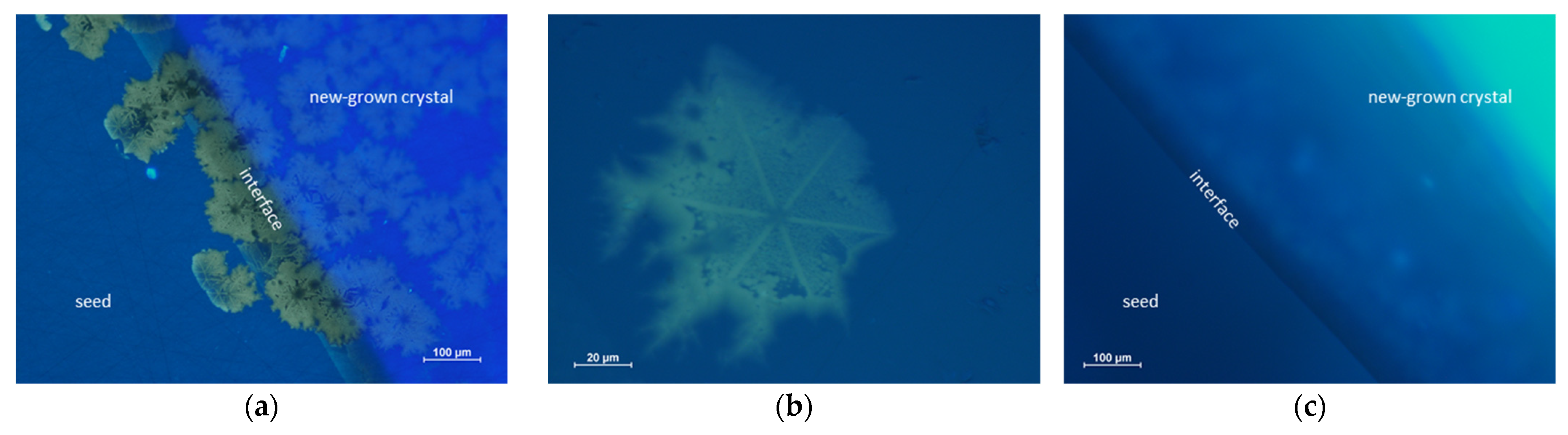 Crystals 12 00554 g006 550