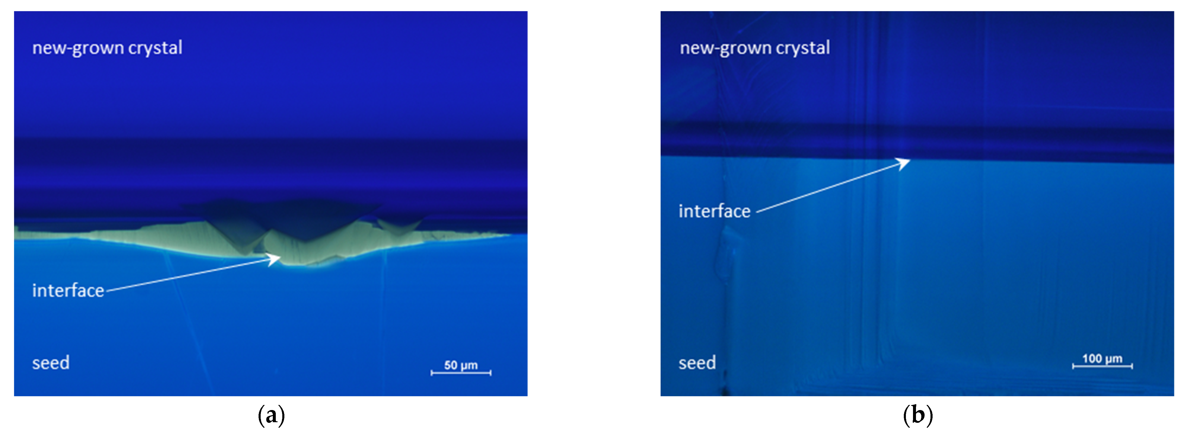 Crystals 12 00554 g007 550