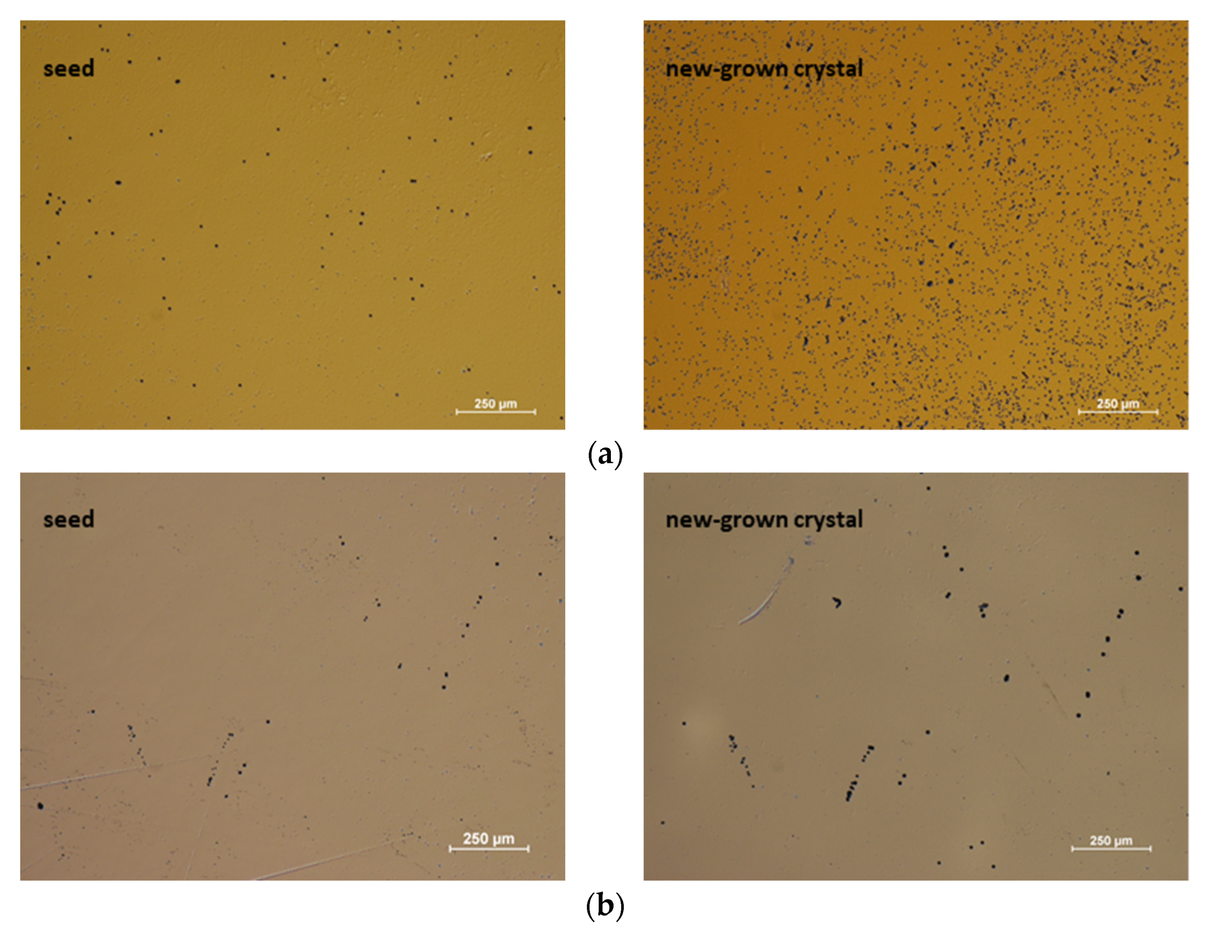 Crystals 12 00554 g008 550