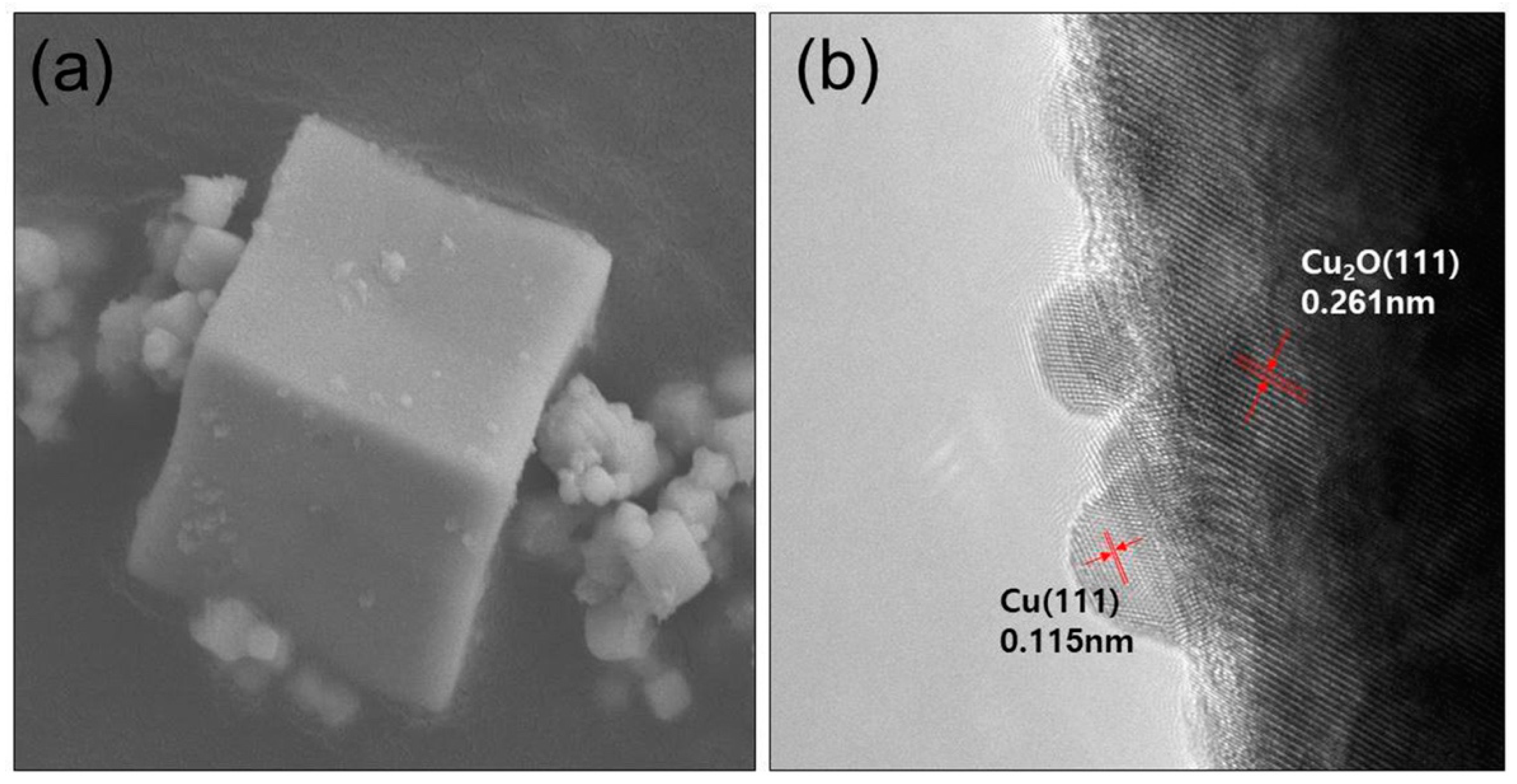 Crystals 12 00566 g003