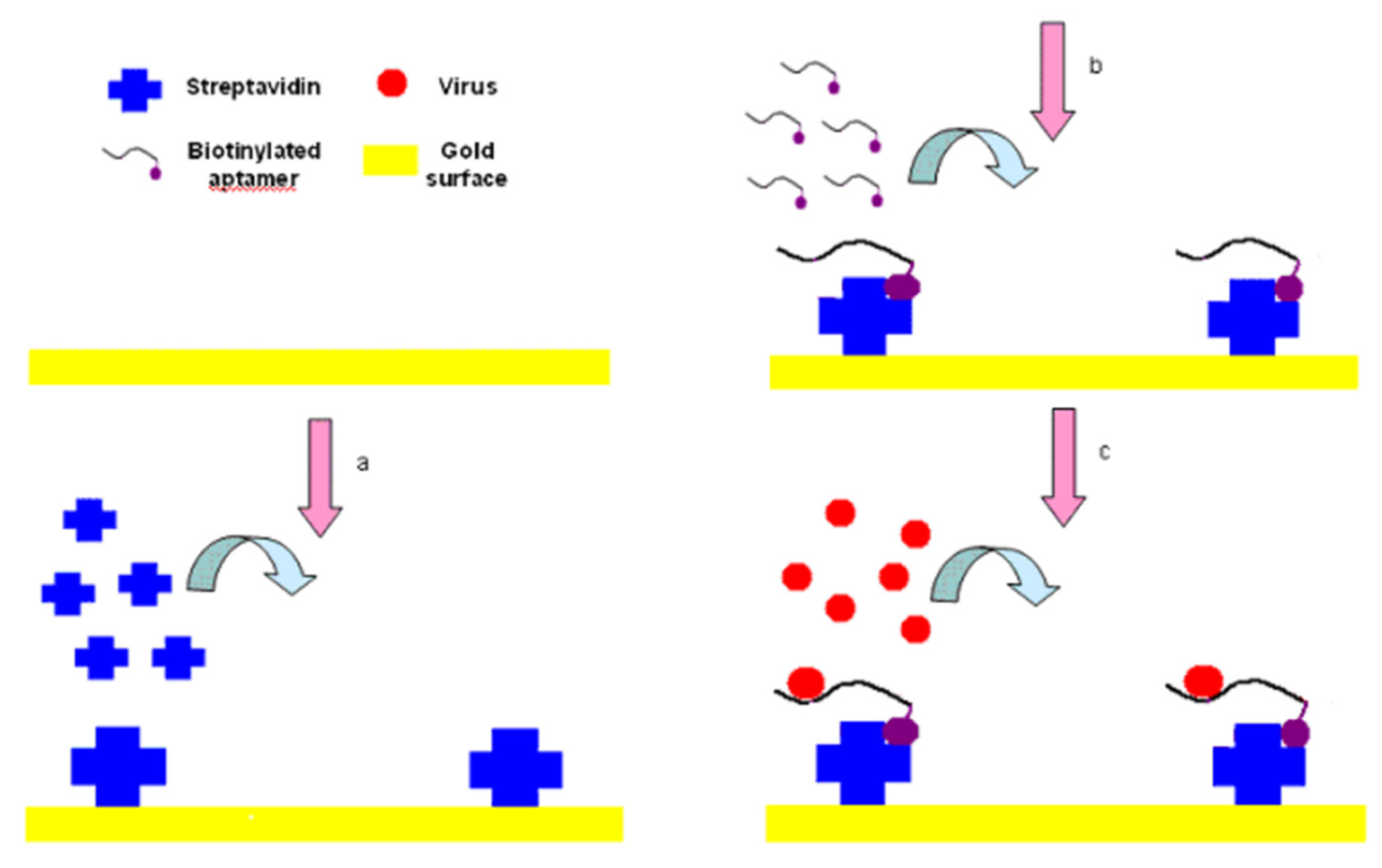 Crystals 12 00589 g001