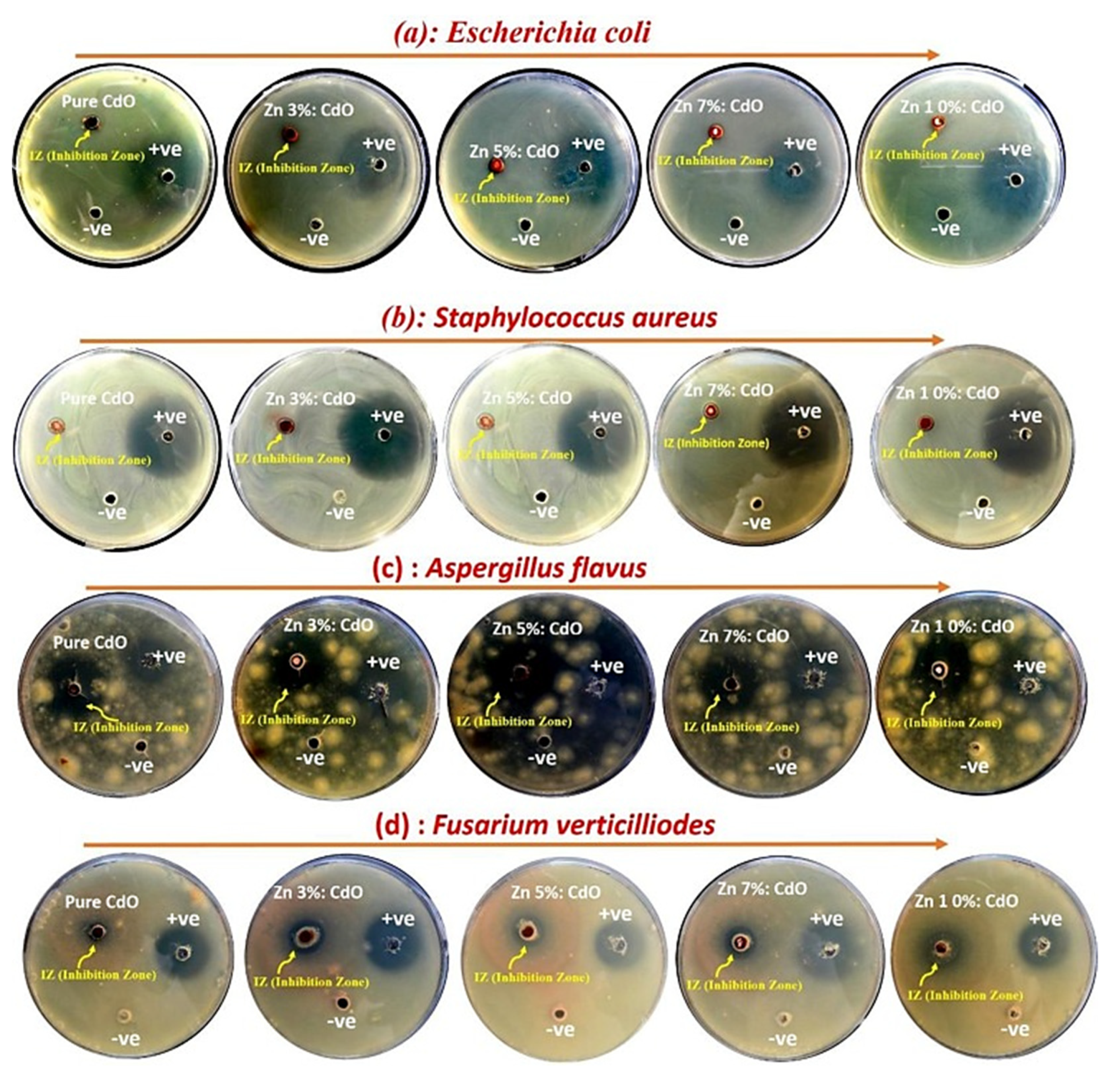 Crystals 12 00589 g007