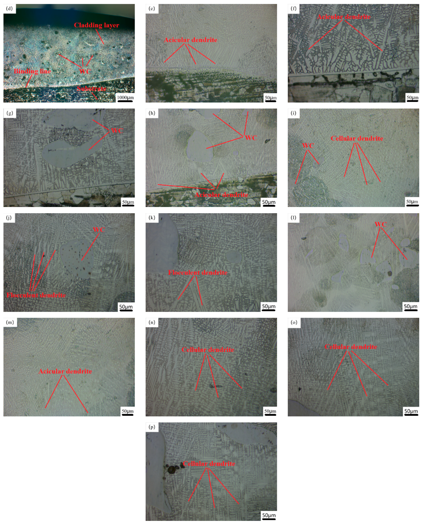 Crystals 12 00591 g003b 550