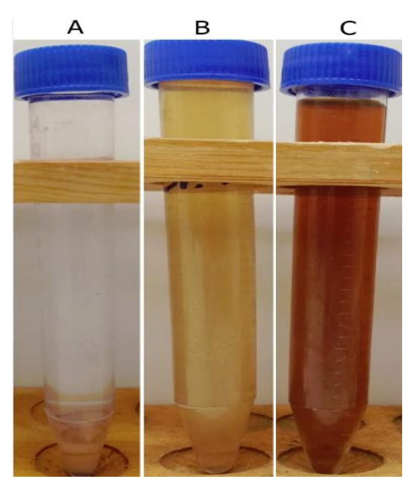 Crystals 12 00603 g001