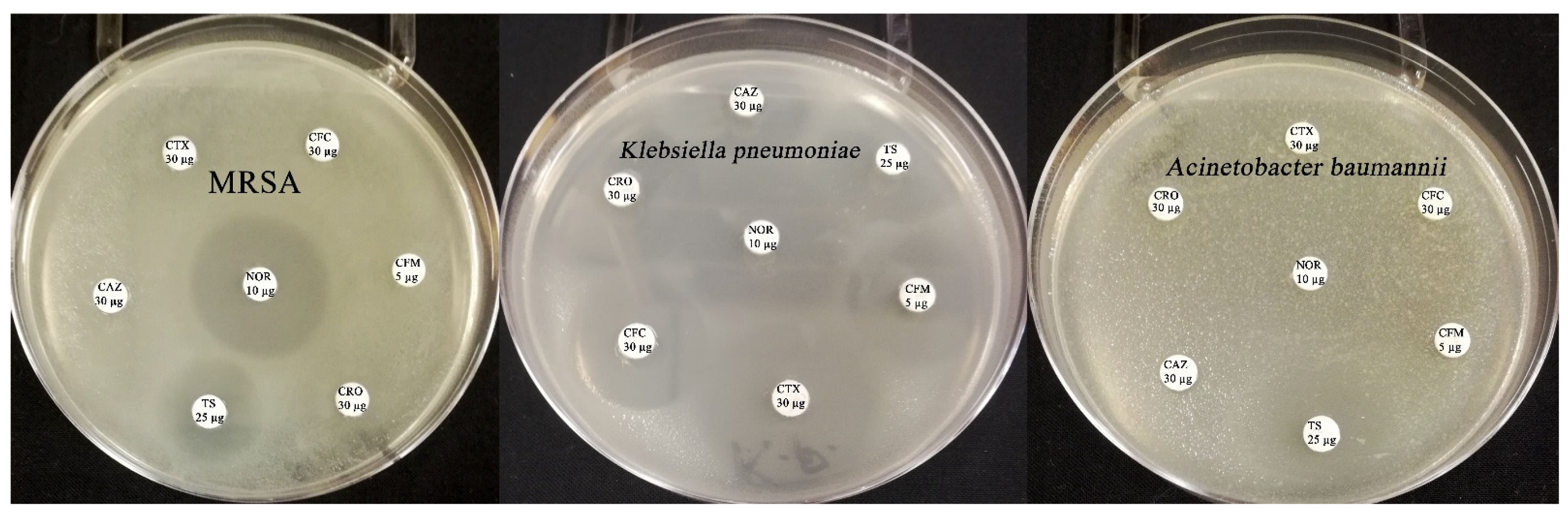 Crystals 12 00603 g009