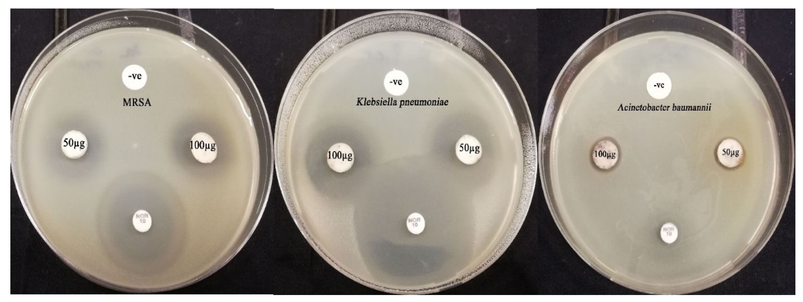 Crystals 12 00603 g010