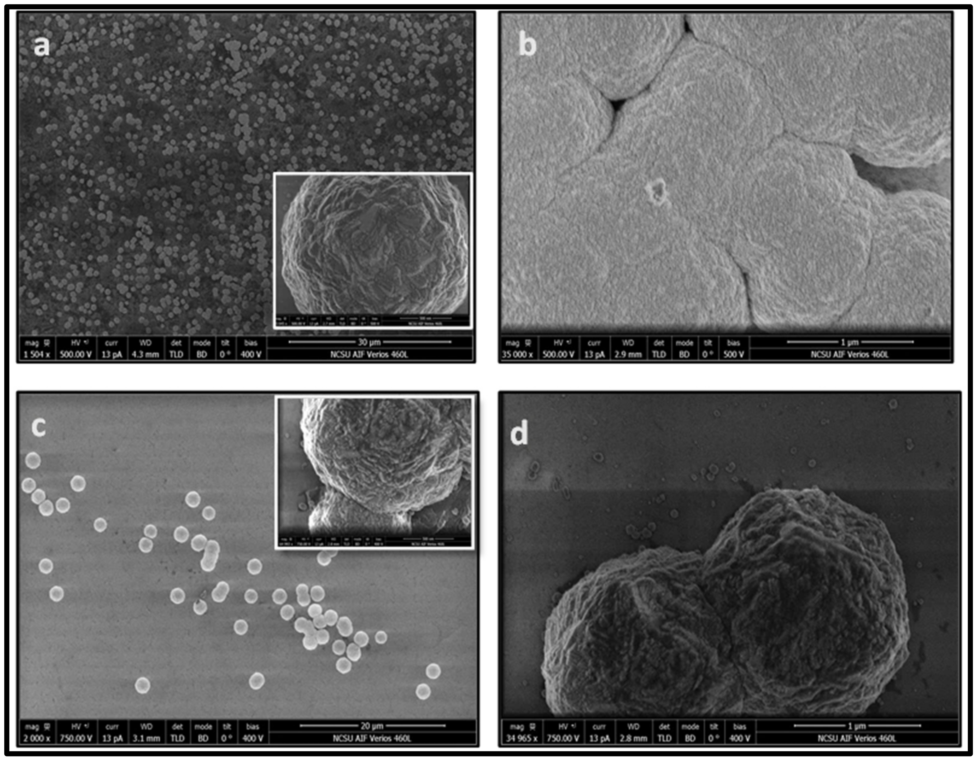 Crystals 12 00615 g006