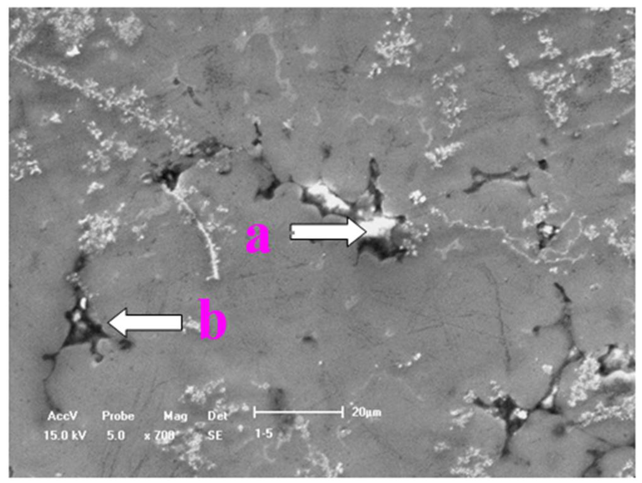 Crystals 12 00637 g004