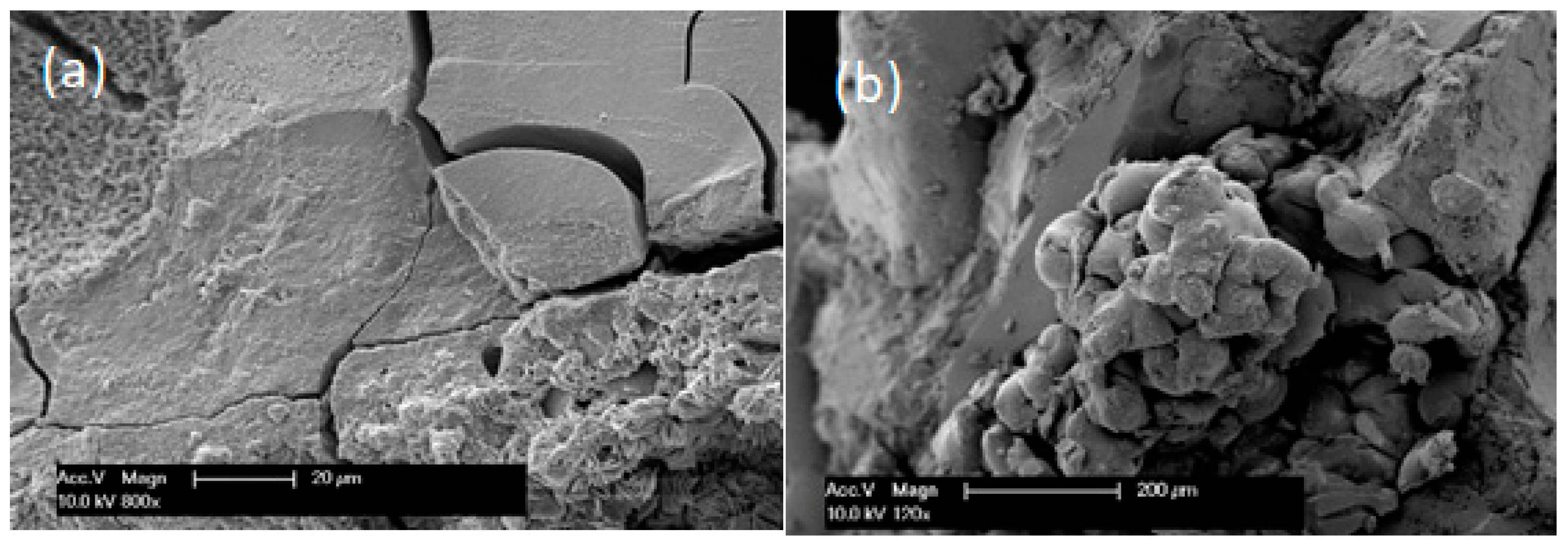 Crystals 12 00646 g009