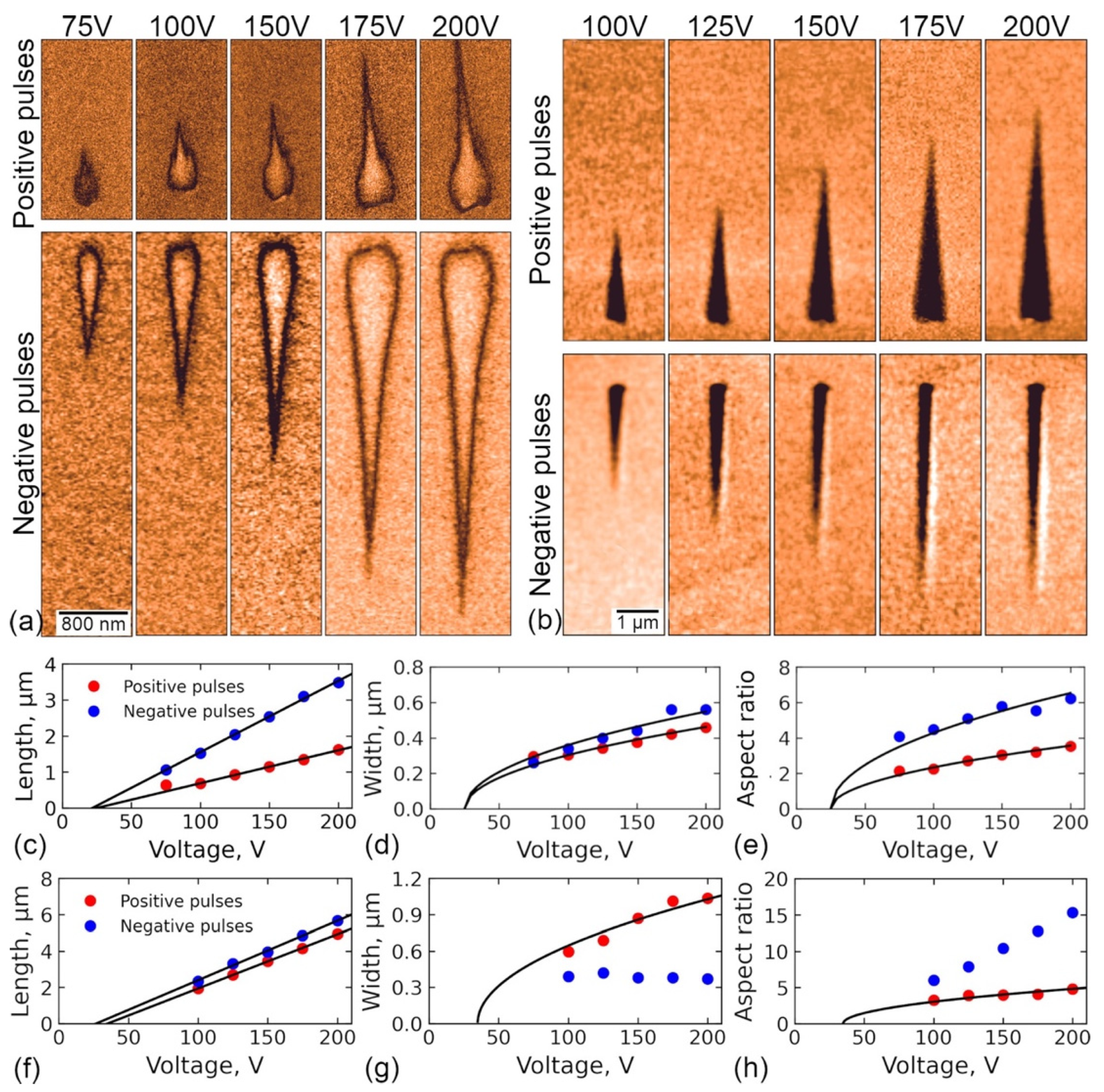 Crystals 12 00659 g002 550