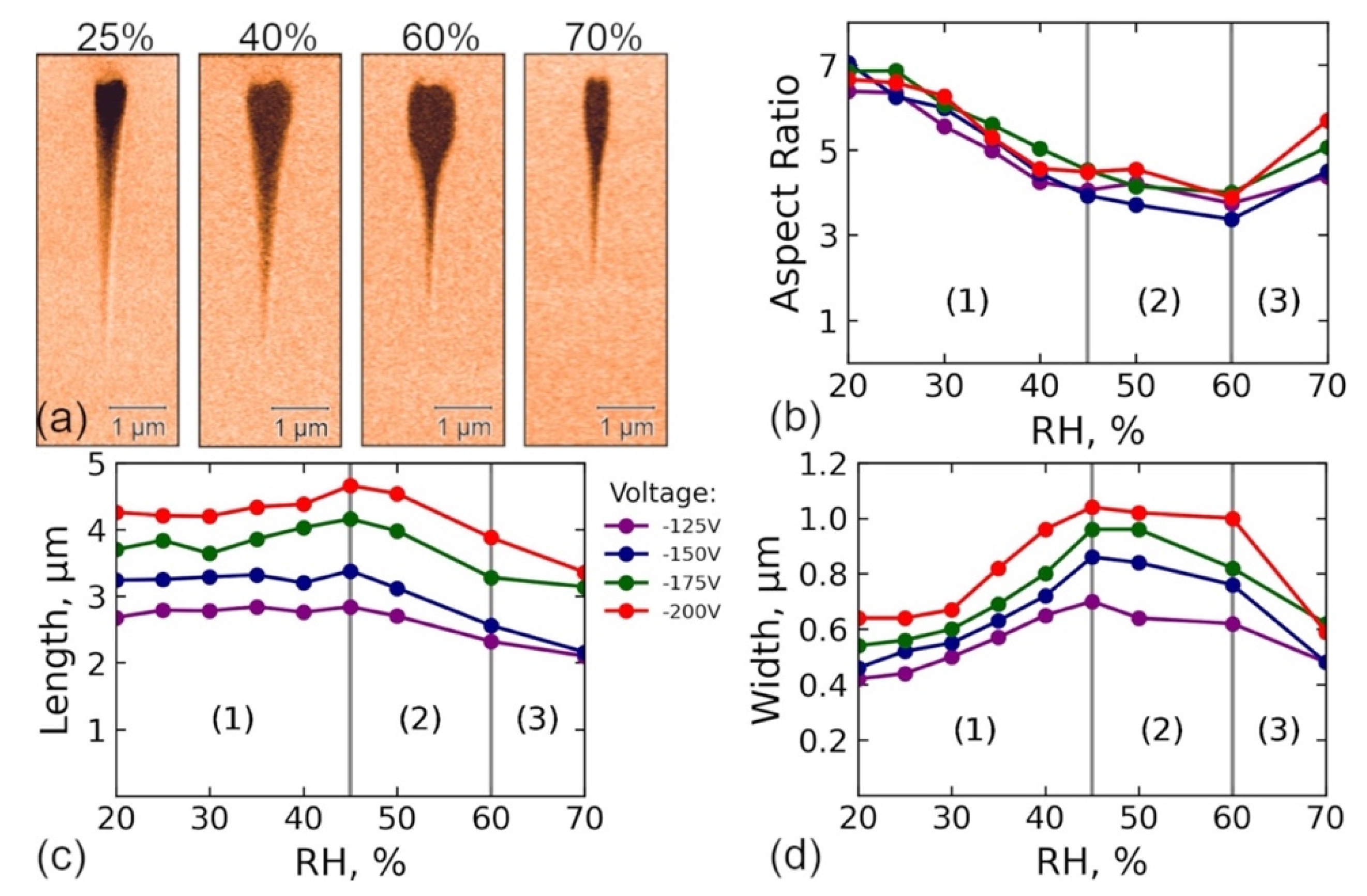 Crystals 12 00659 g003 550