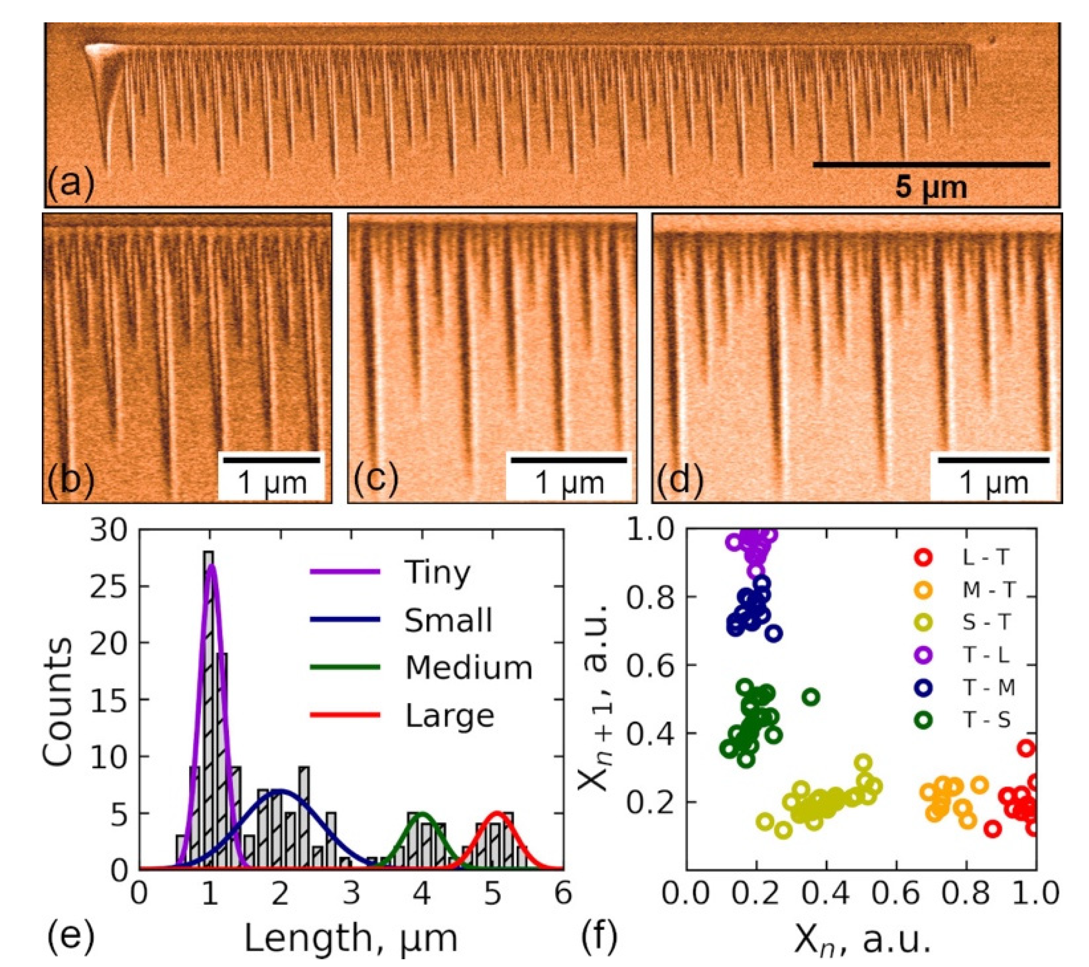 Crystals 12 00659 g007 550
