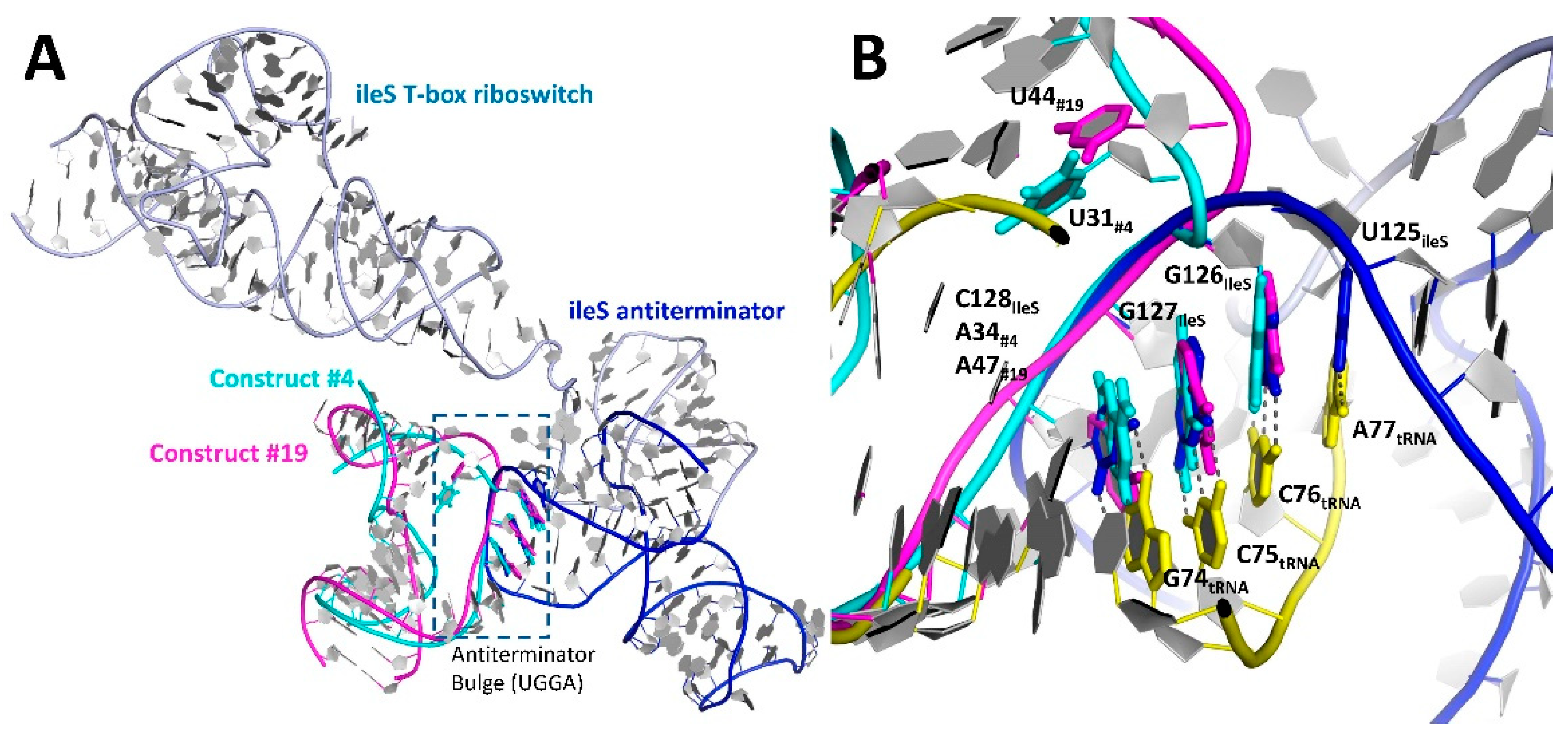 Crystals 12 00694 g004