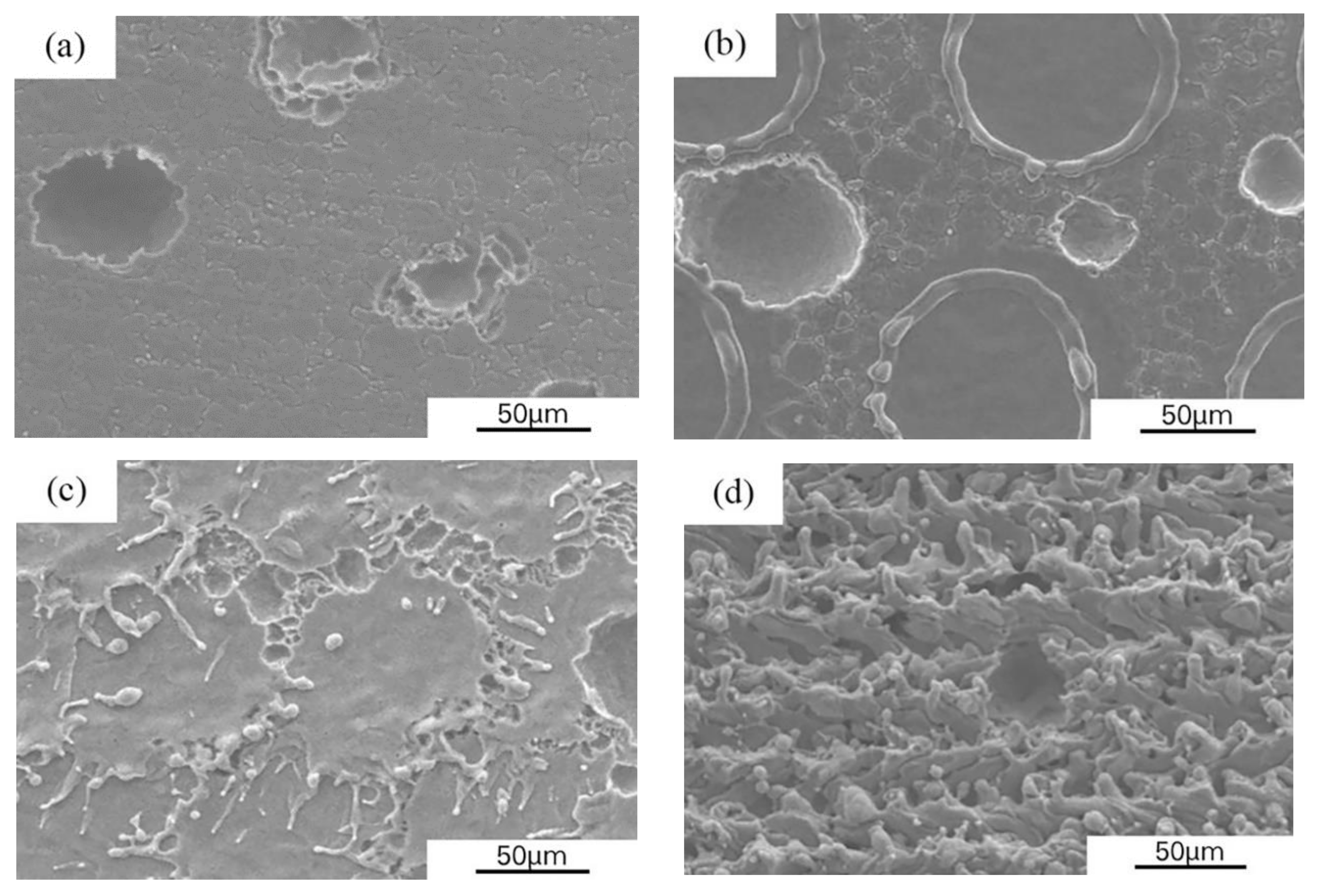 Crystals 12 00695 g012