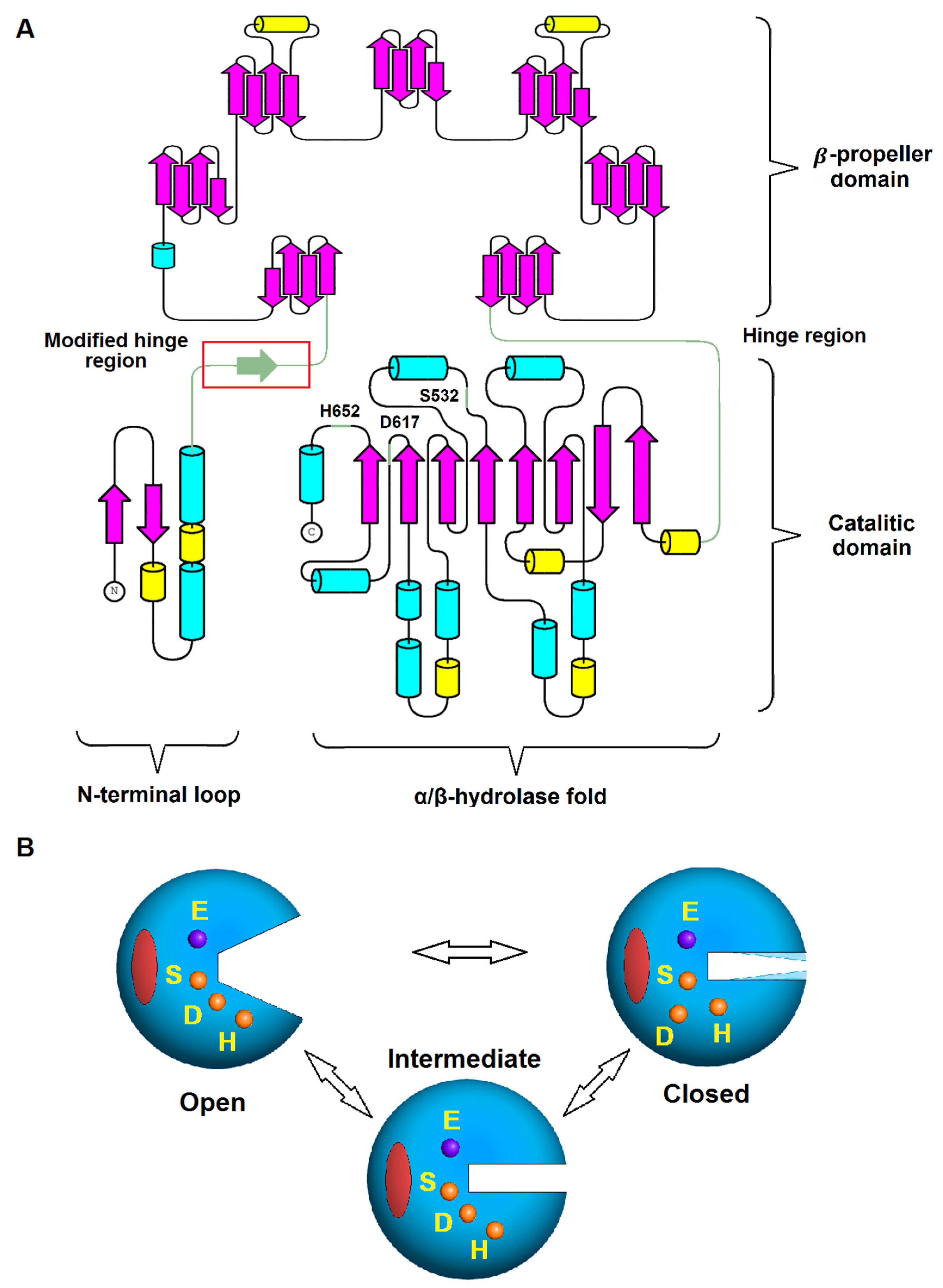 Crystals 12 00712 g001