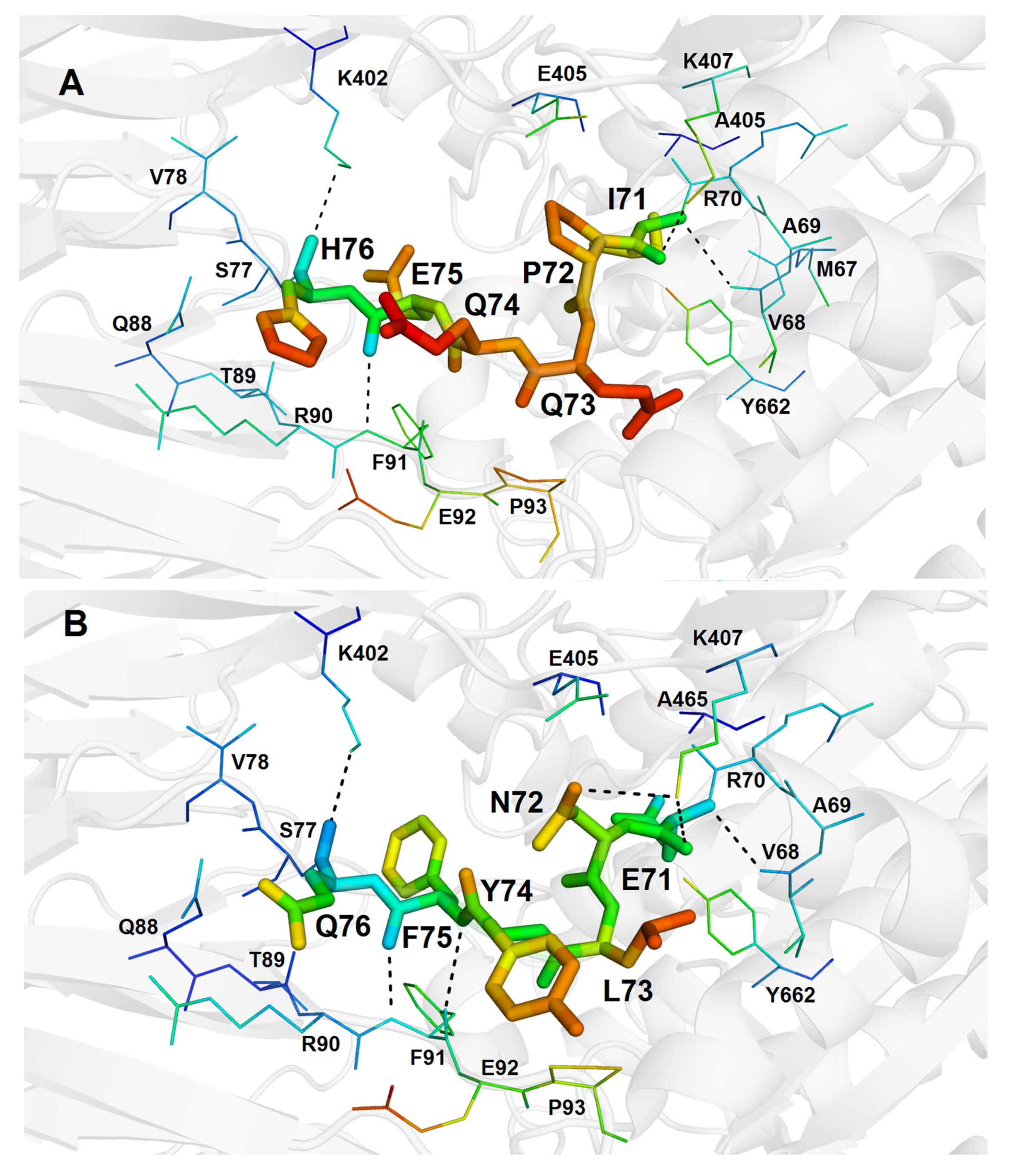 Crystals 12 00712 g004