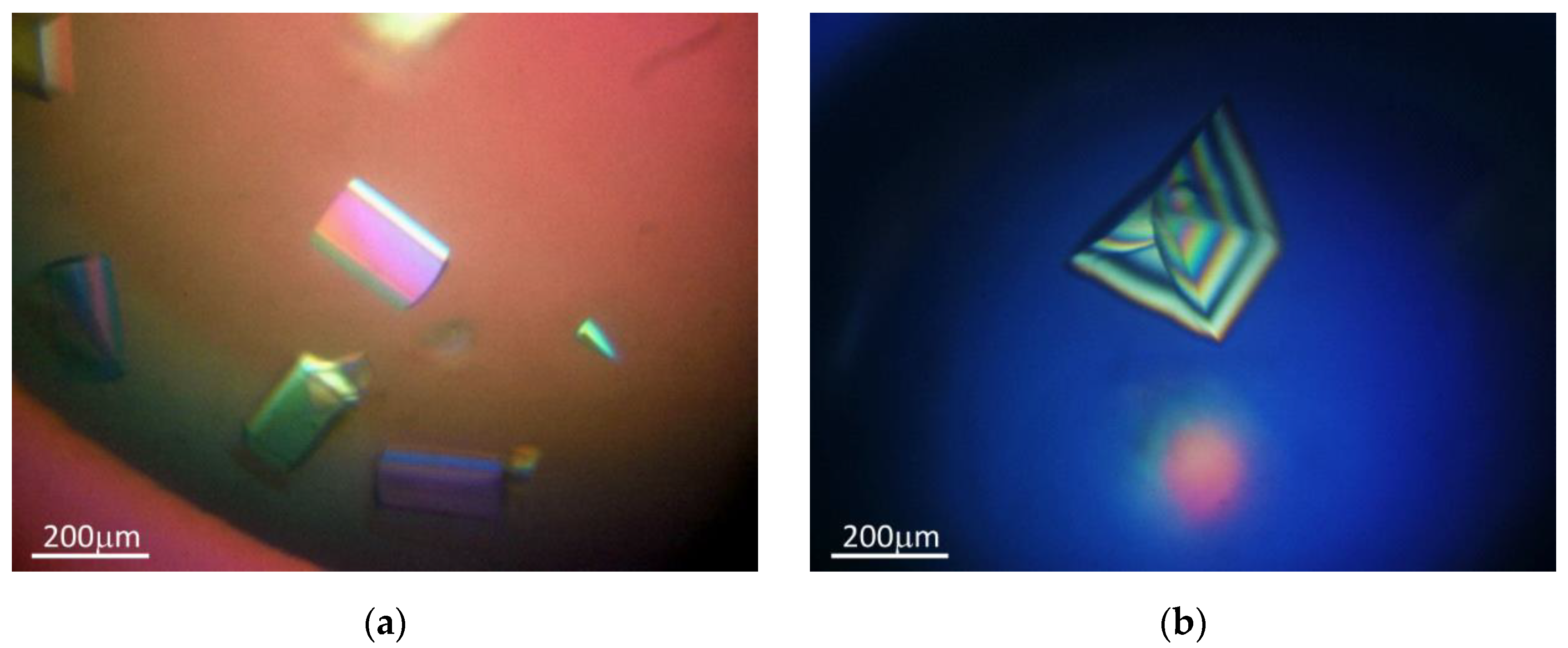 Crystals 12 00760 g002