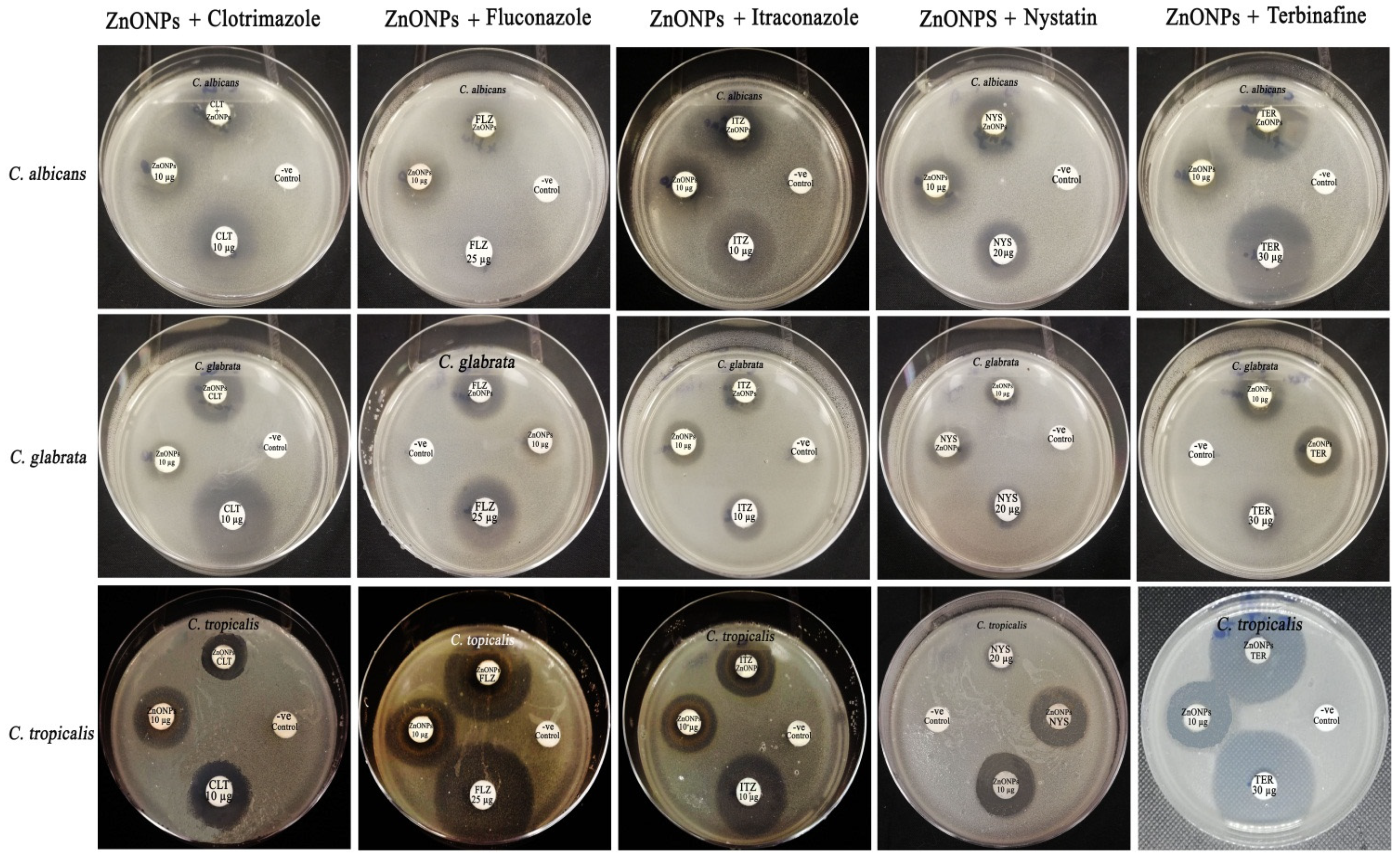 Crystals 12 00774 g010 550
