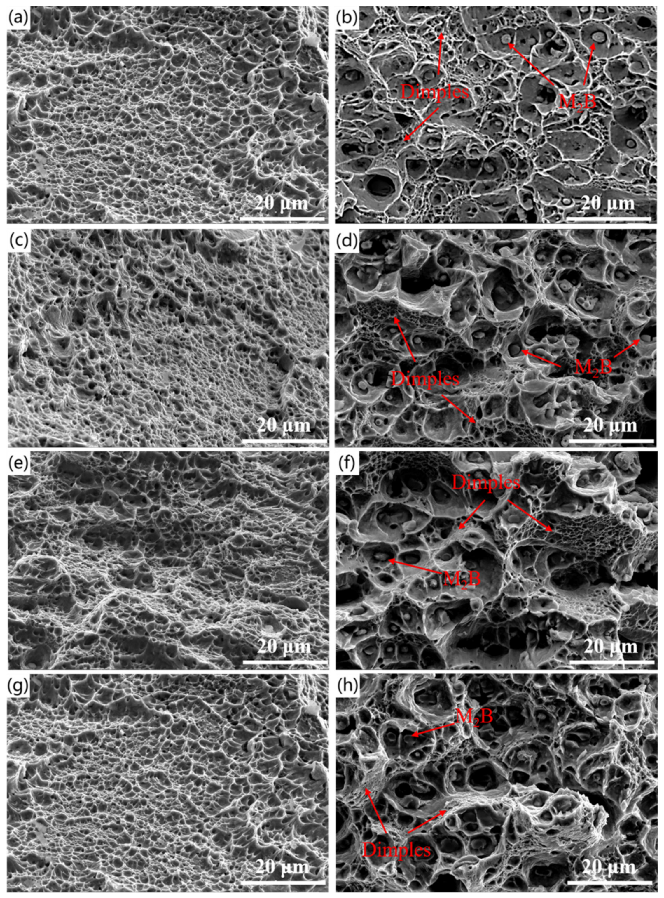 Crystals 12 00776 g009 Crystals 12 00776 g009